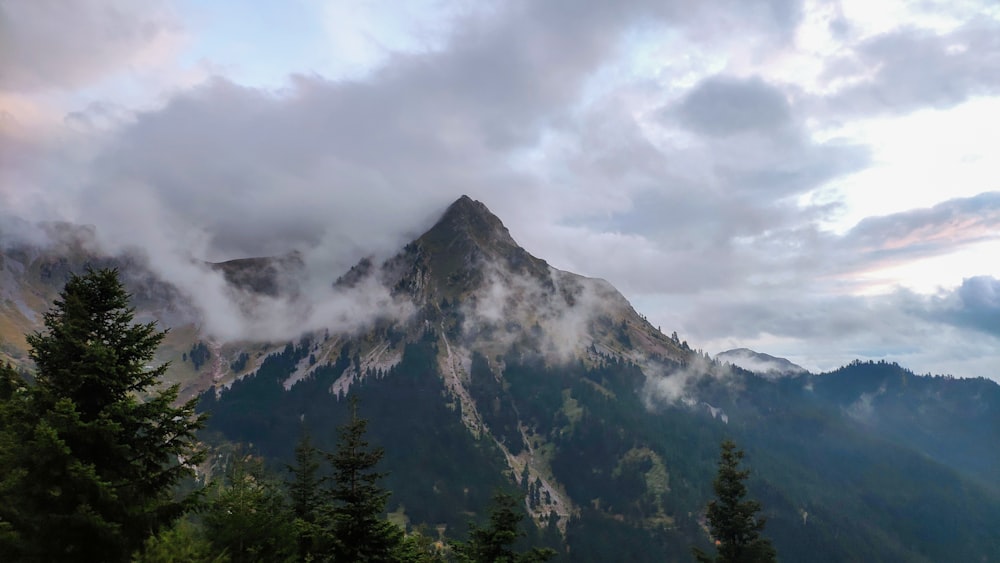 a mountain covered in clouds and trees under a cloudy sky