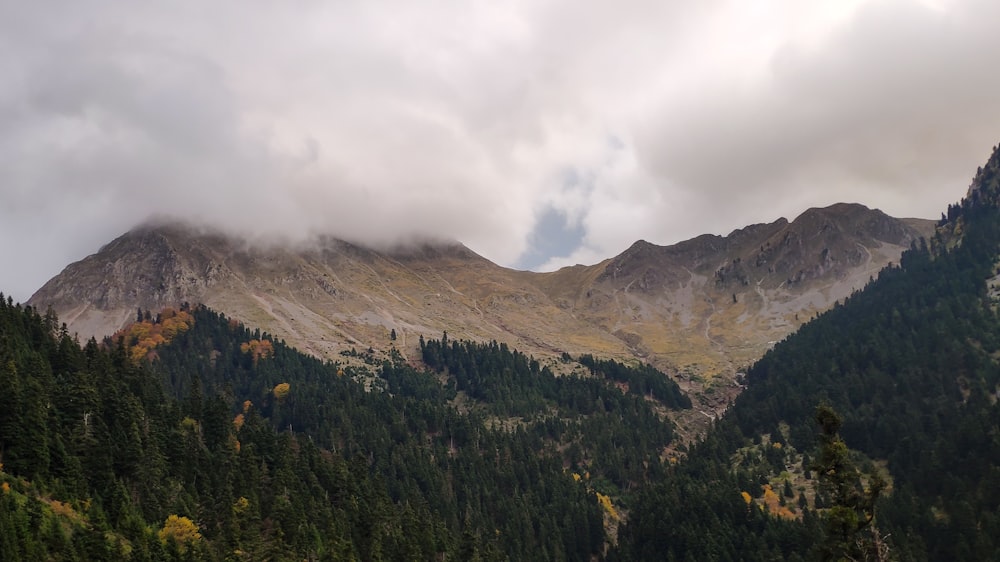 a view of a mountain range with trees in the foreground