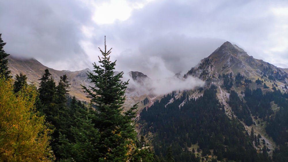 a view of a mountain range with trees in the foreground