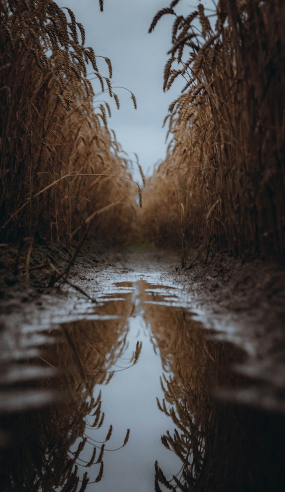 the reflection of the sky in the water