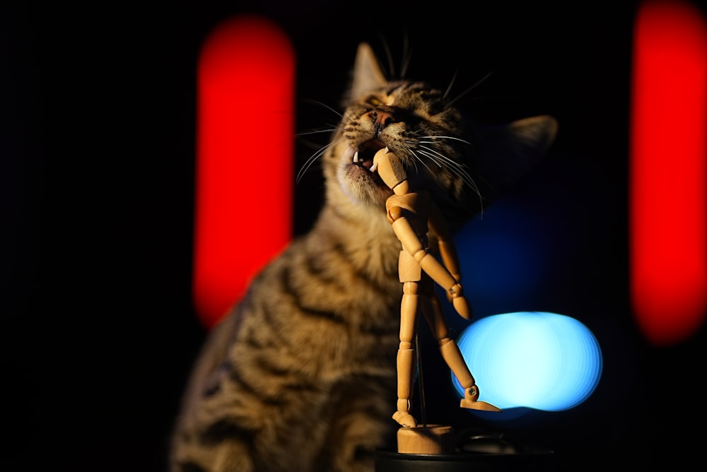 a cat standing next to a wooden toy