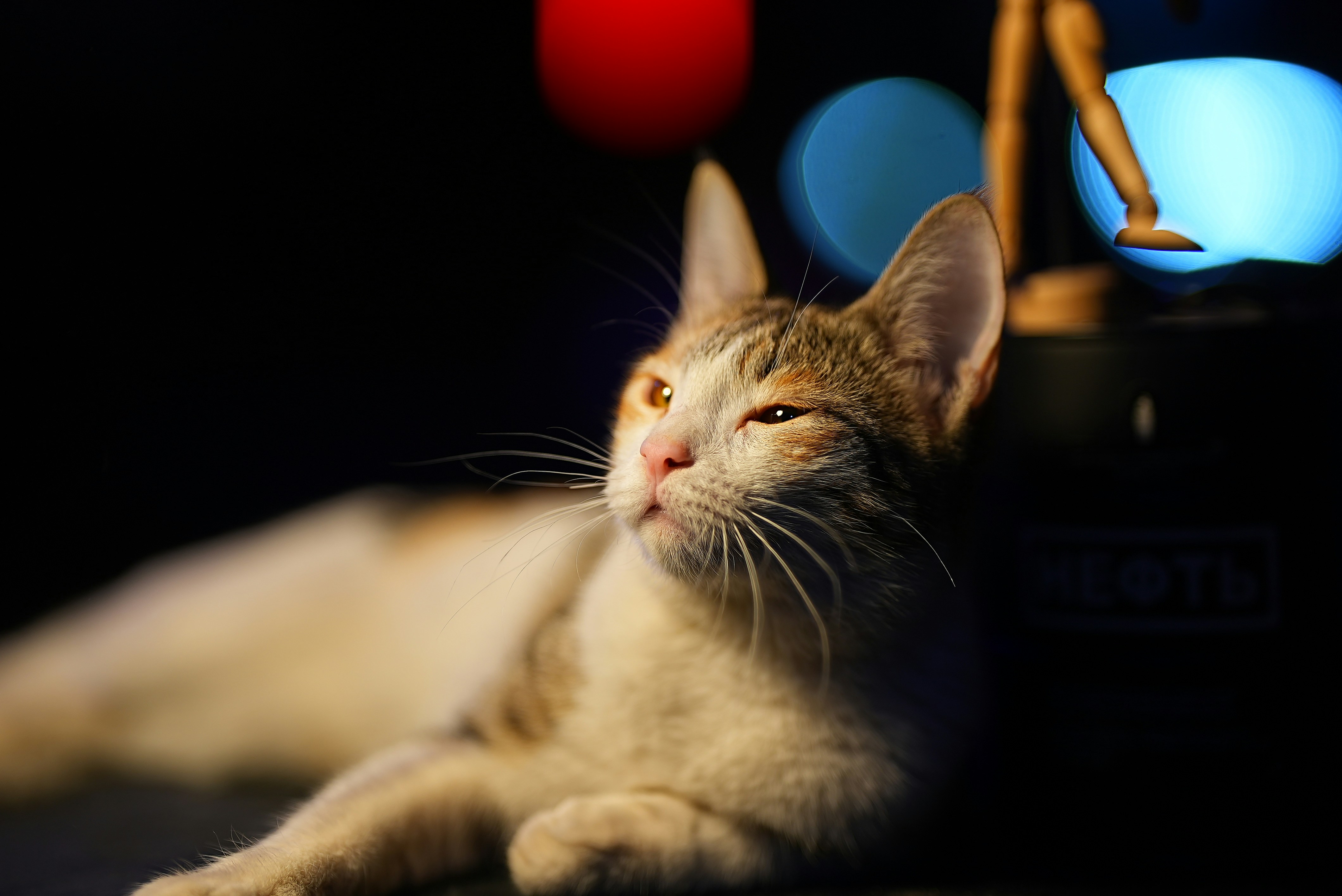 Sleeping Eyes: Vulnerability and Trust (image credits: unsplash)