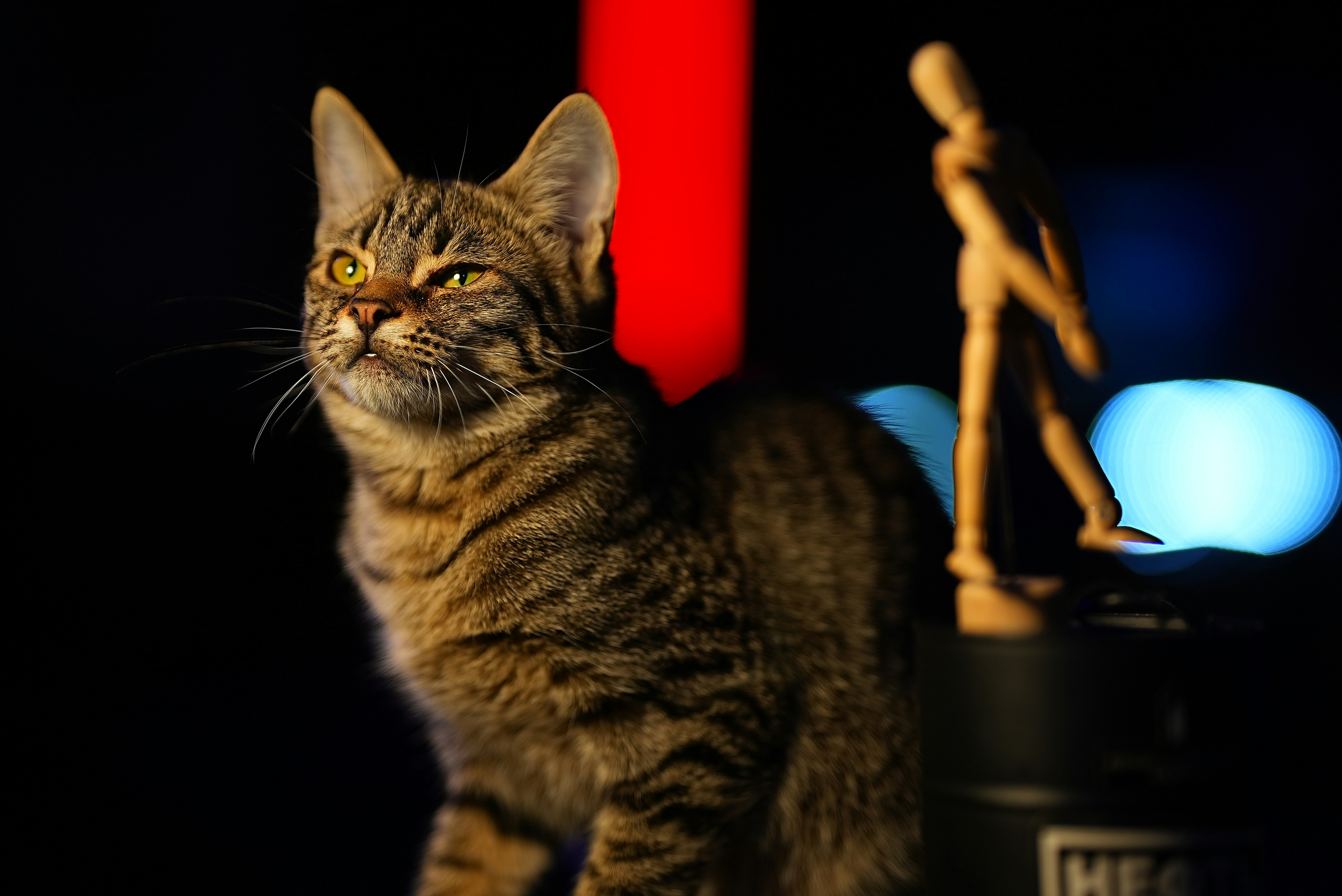 a cat sitting on top of a table next to a statue