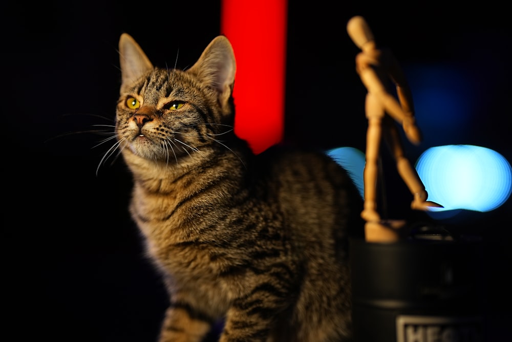 a cat sitting on top of a table next to a statue