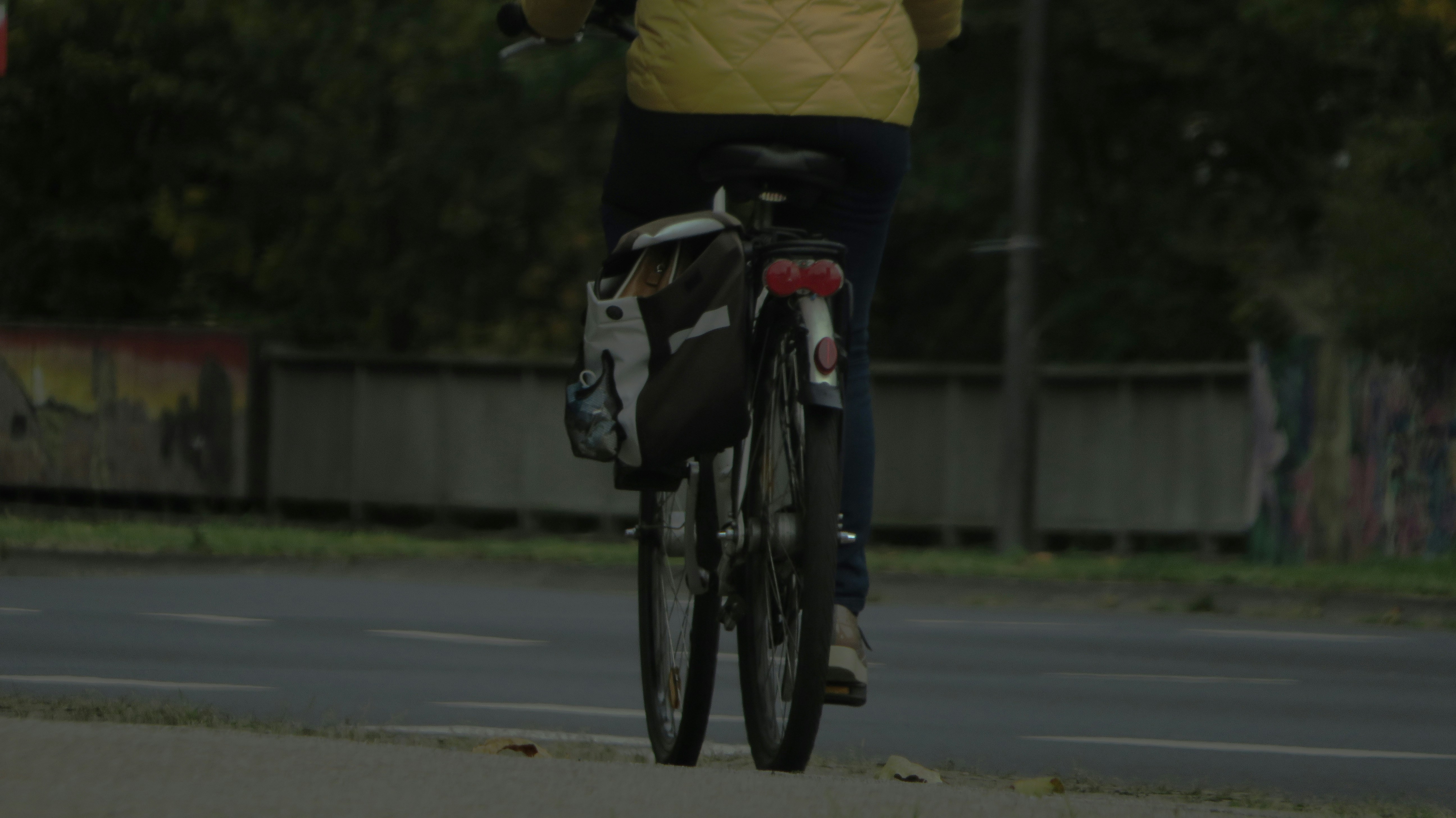 a woman riding a bike down a street