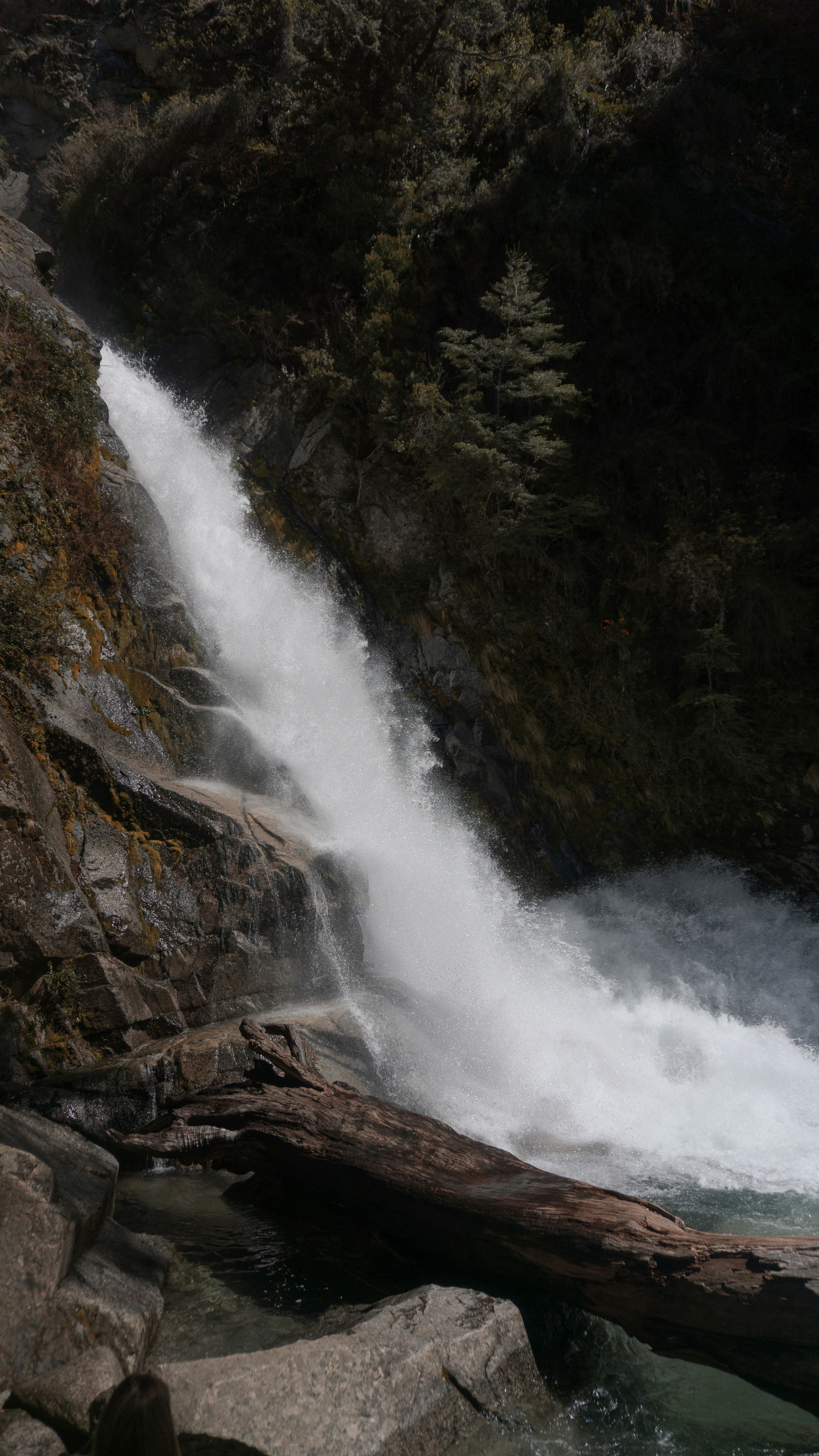 Photo by federicofaccipieri