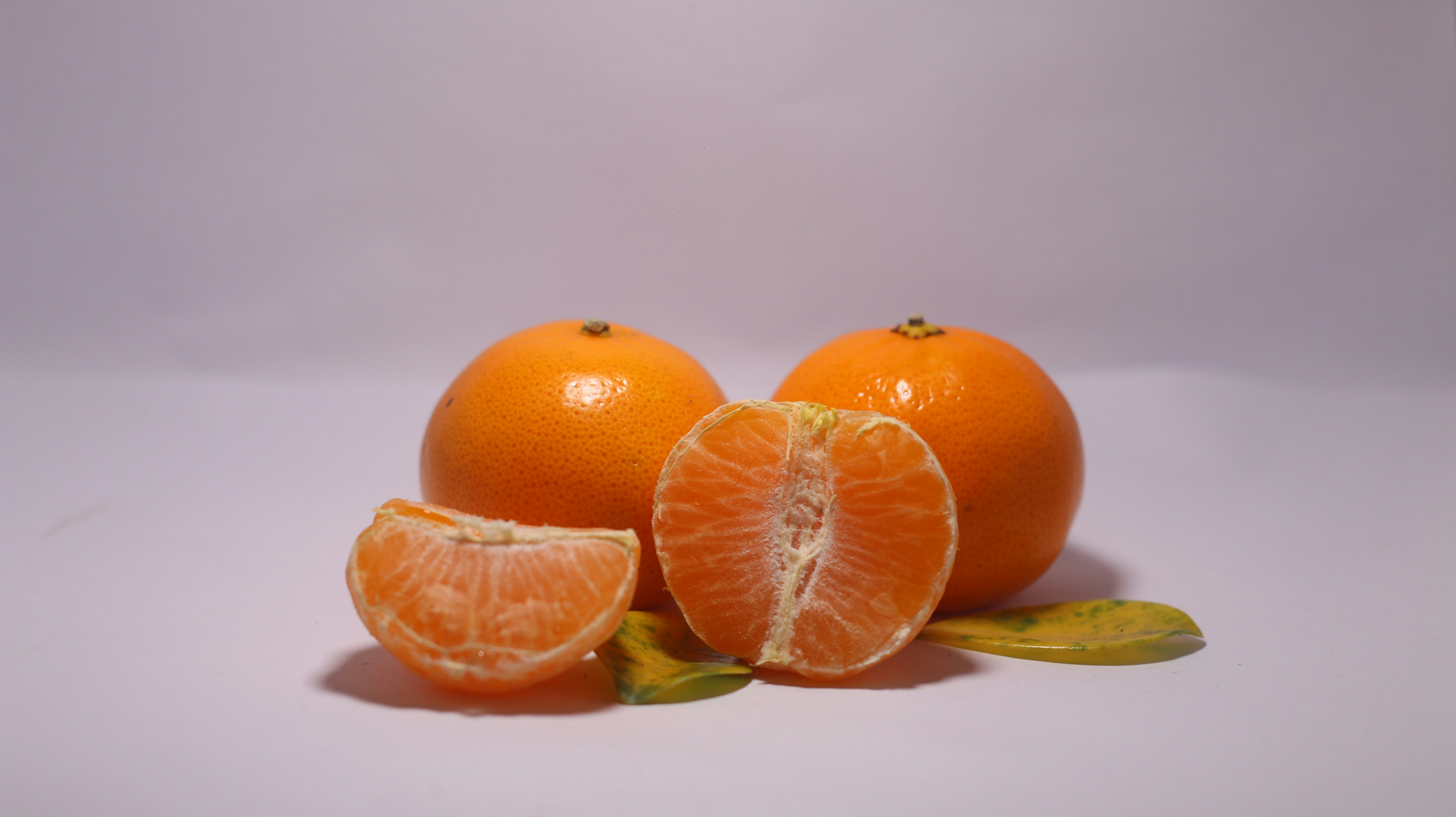 ¿Mi perro puede comer mandarina?
