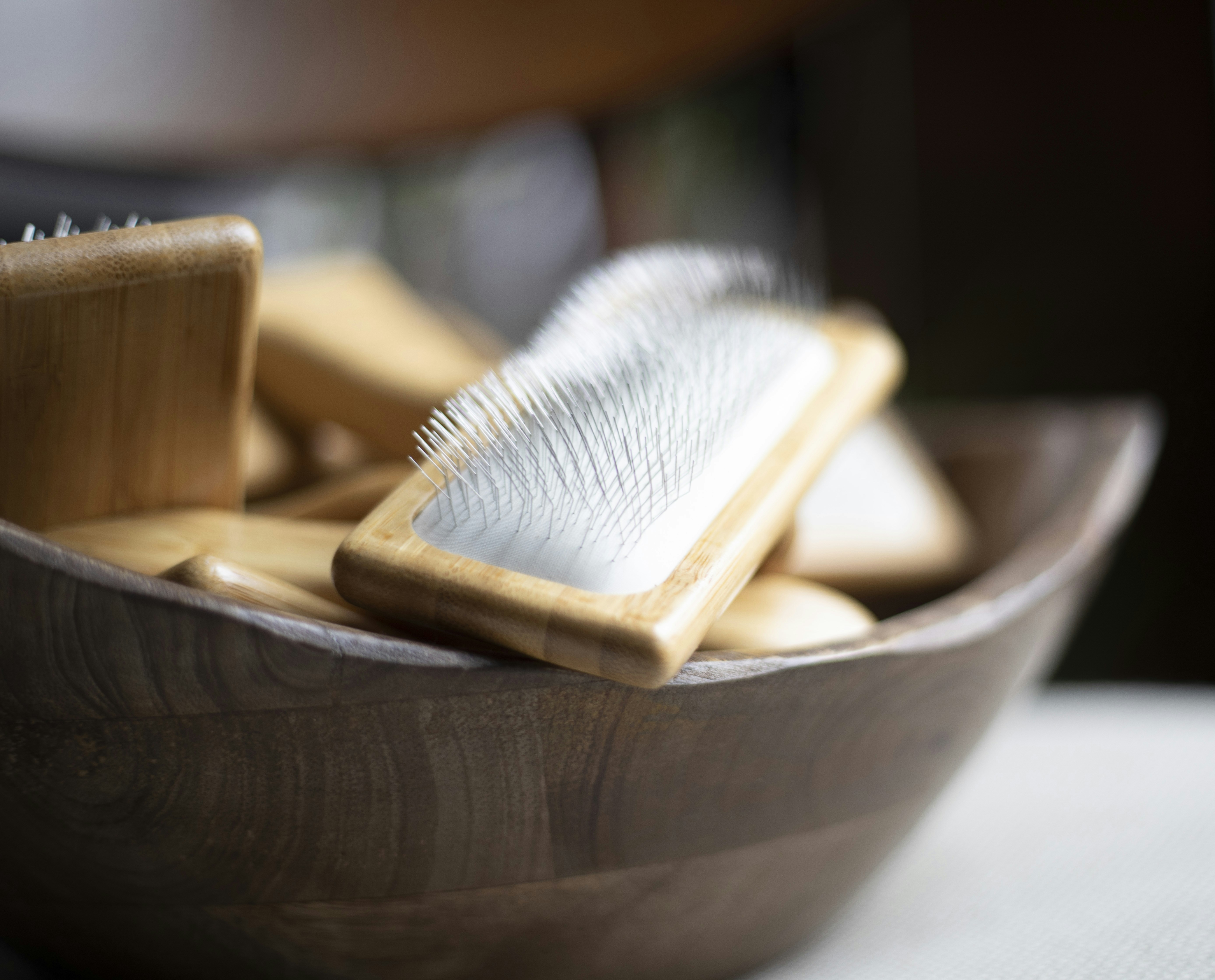 Photo by feliciamontenegro