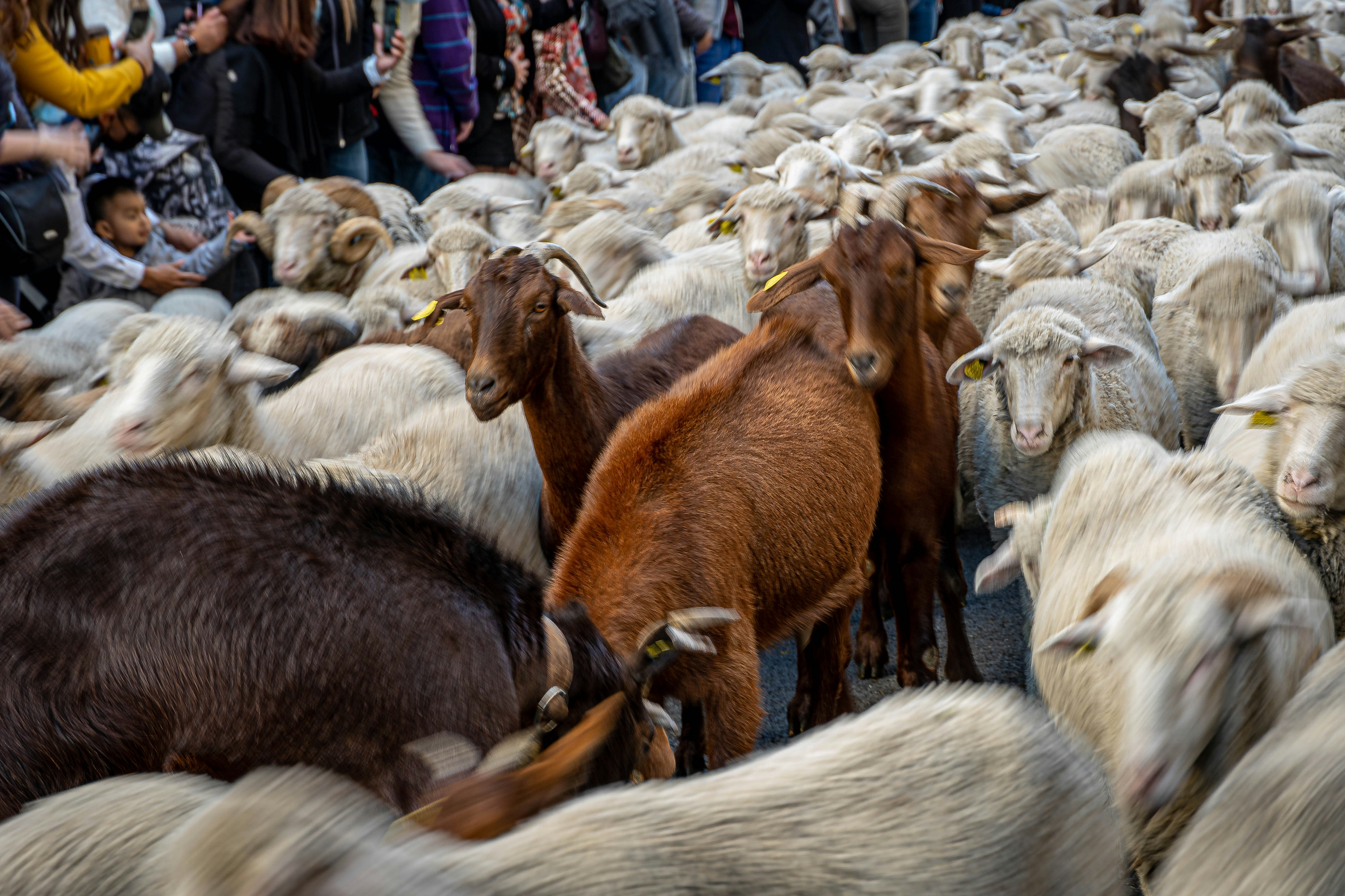 Photo by joseantoniogall