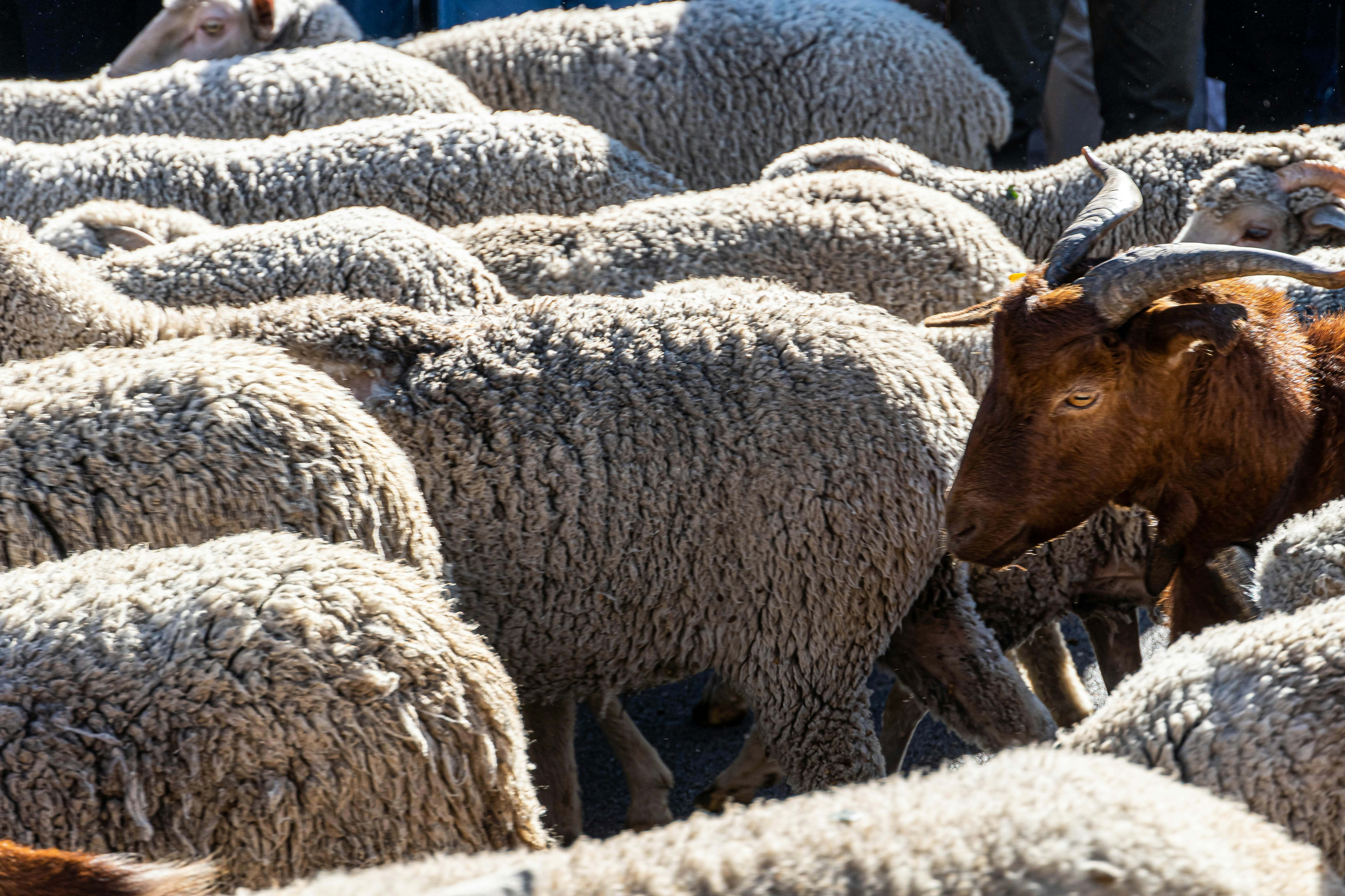 Photo by joseantoniogall