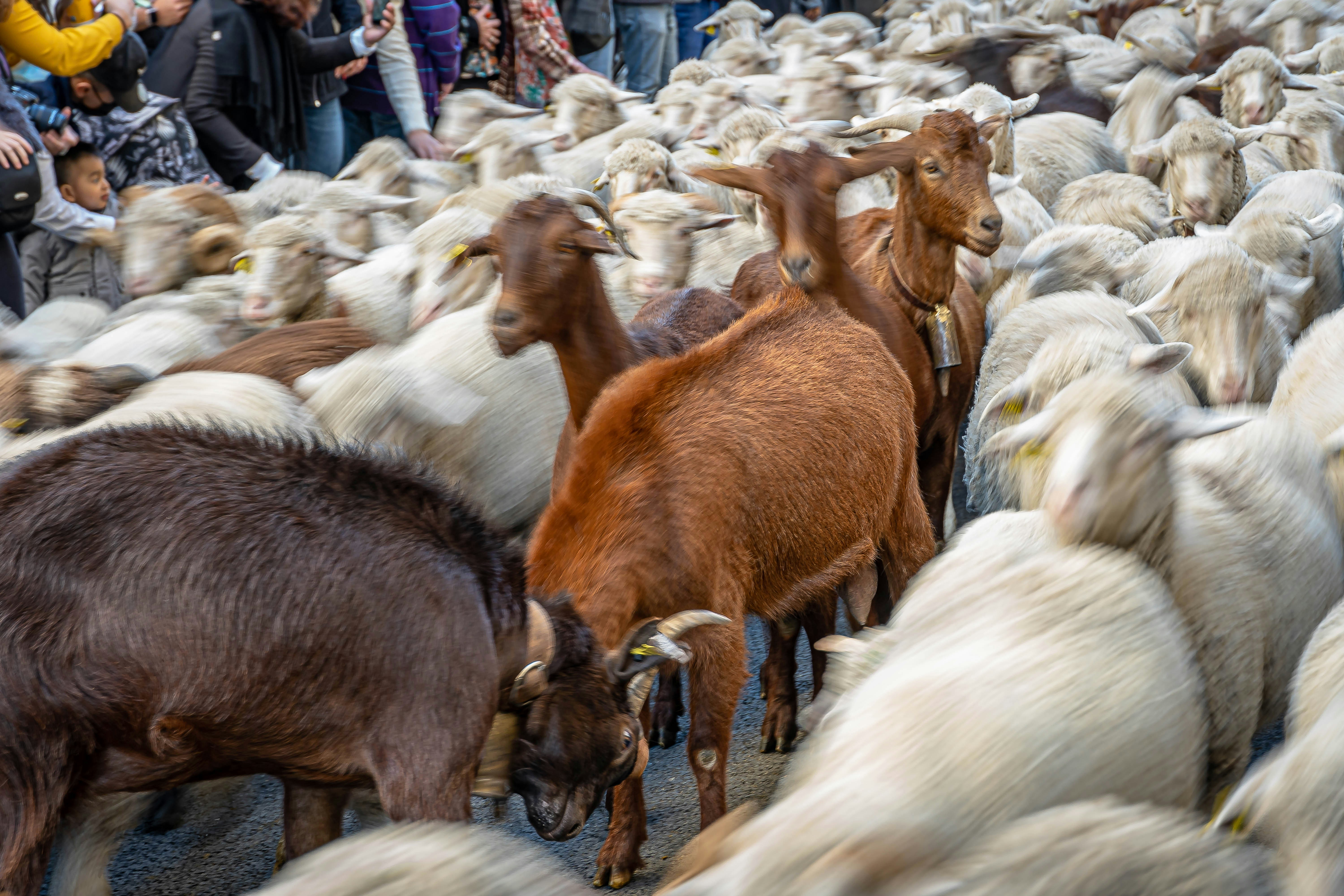 Photo by joseantoniogall