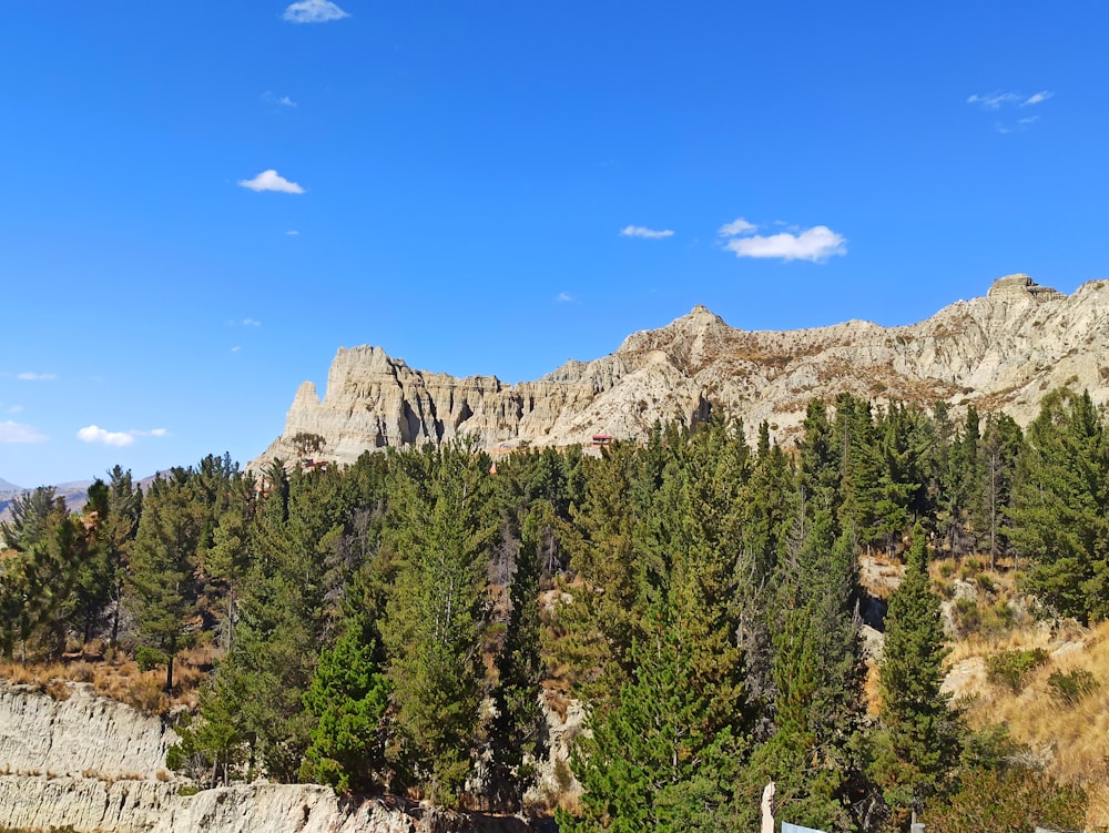 a view of a mountain range with trees in the foreground