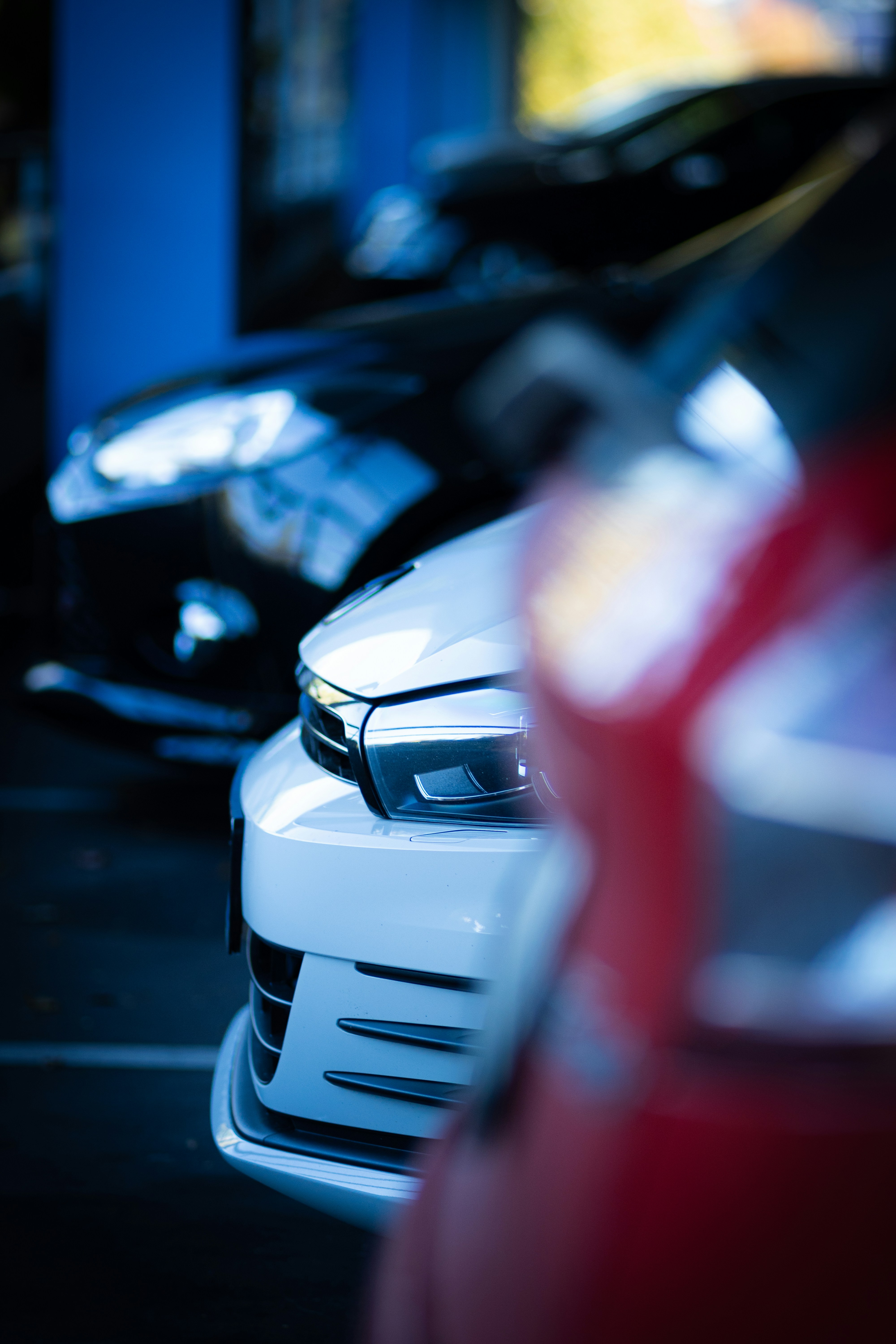 Photo by danielbertrams