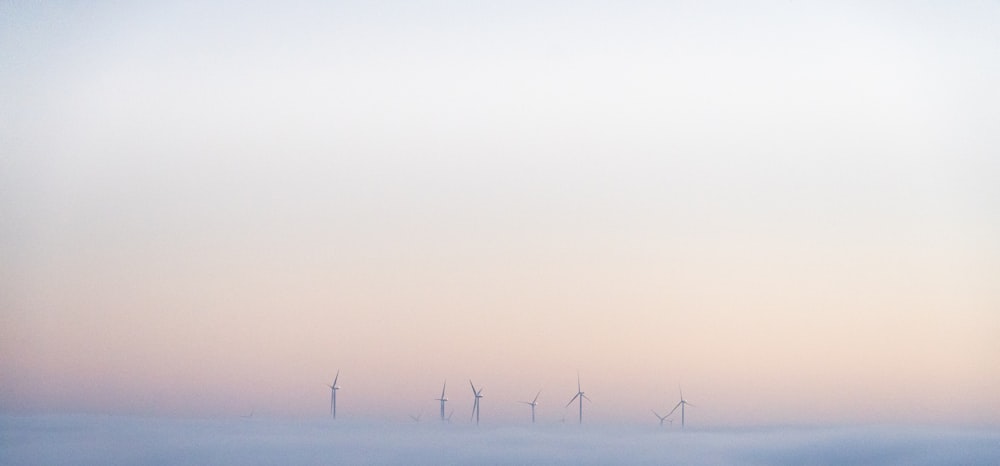 Eine Gruppe von Windmühlen in einem nebligen Feld