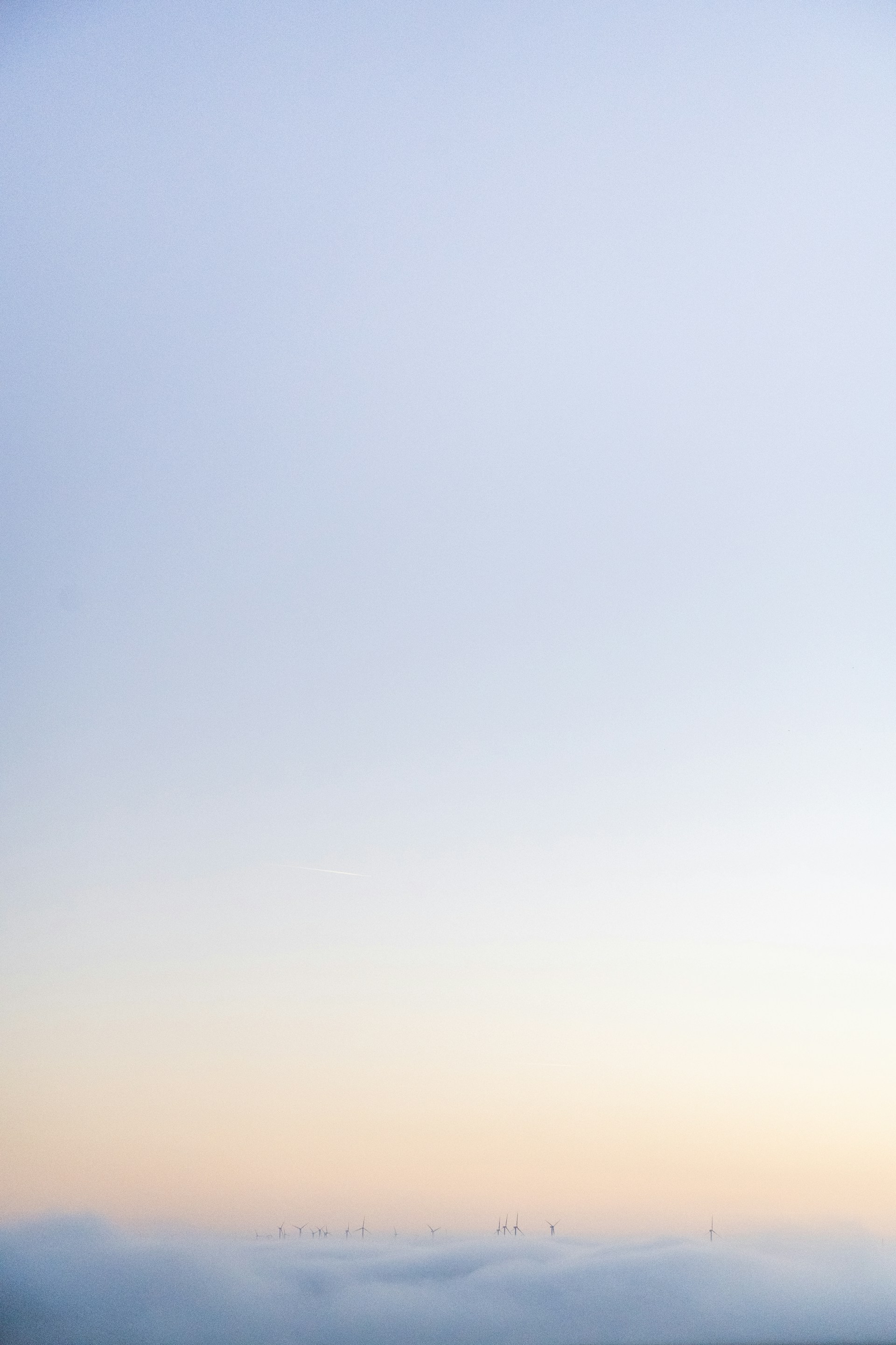 a group of sheep standing on top of a grass covered field