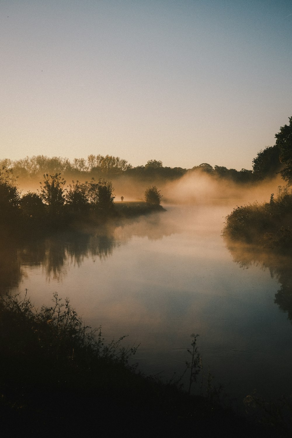 a body of water surrounded by trees and fog