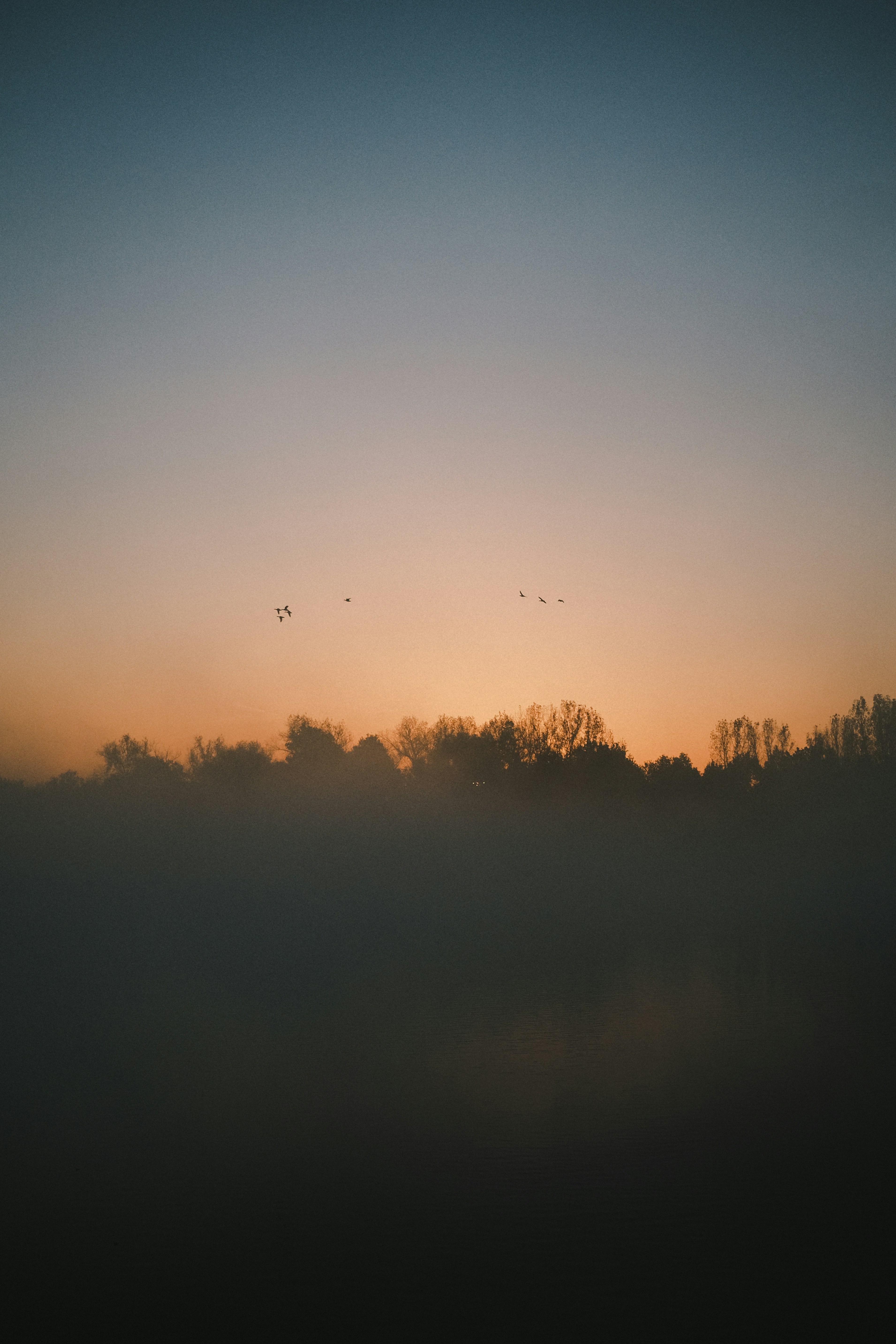 Photo by jonasvandermeiren