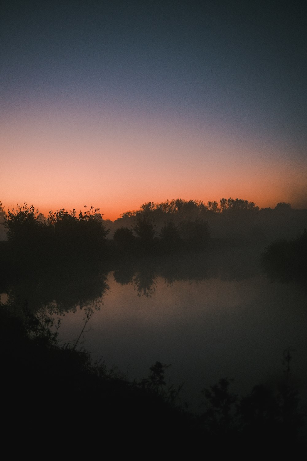 a body of water surrounded by trees and fog