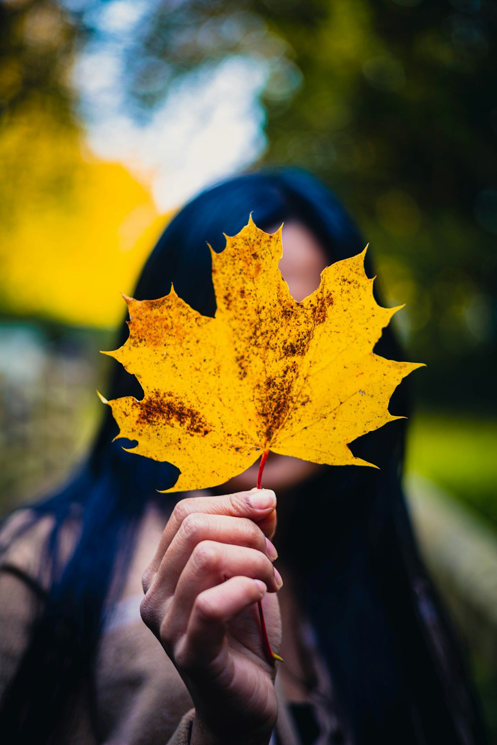 Una donna che tiene una foglia gialla davanti al suo viso foto – Foglie  d'autunno Immagine gratuita su Unsplash