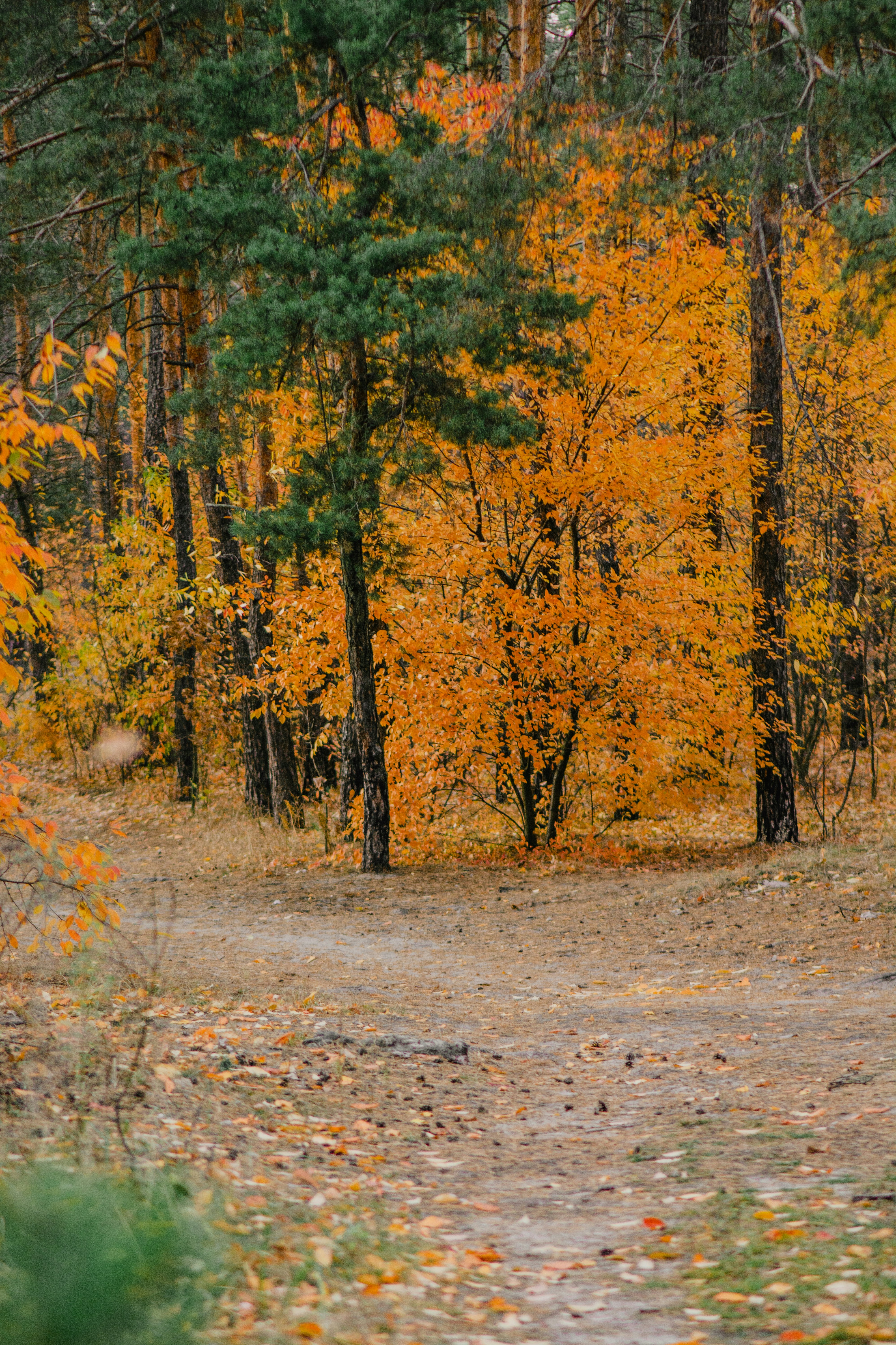 Photo by eugenivy_now