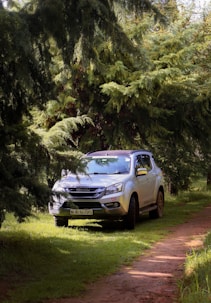 a car parked on a dirt road in the woods
