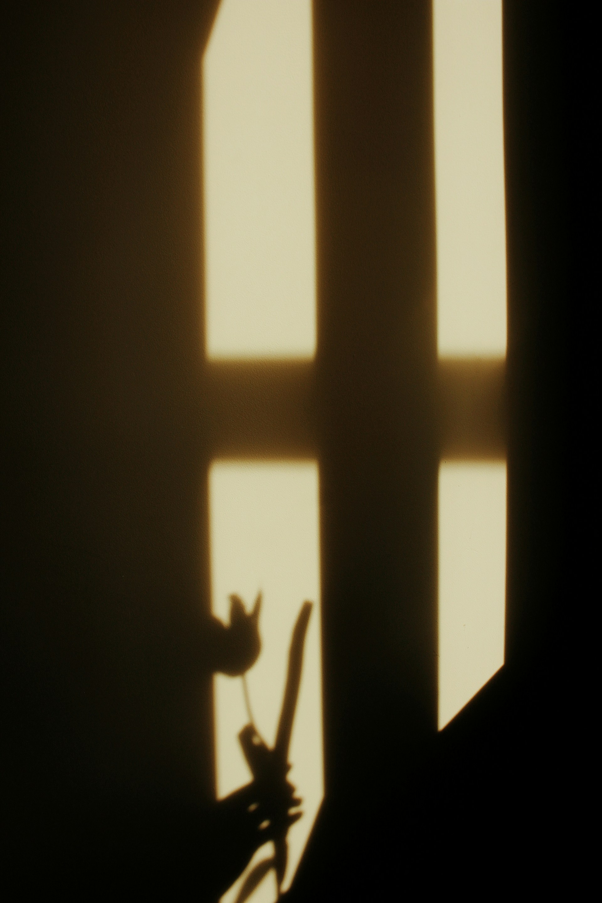 a shadow of a flower in a vase on a window sill