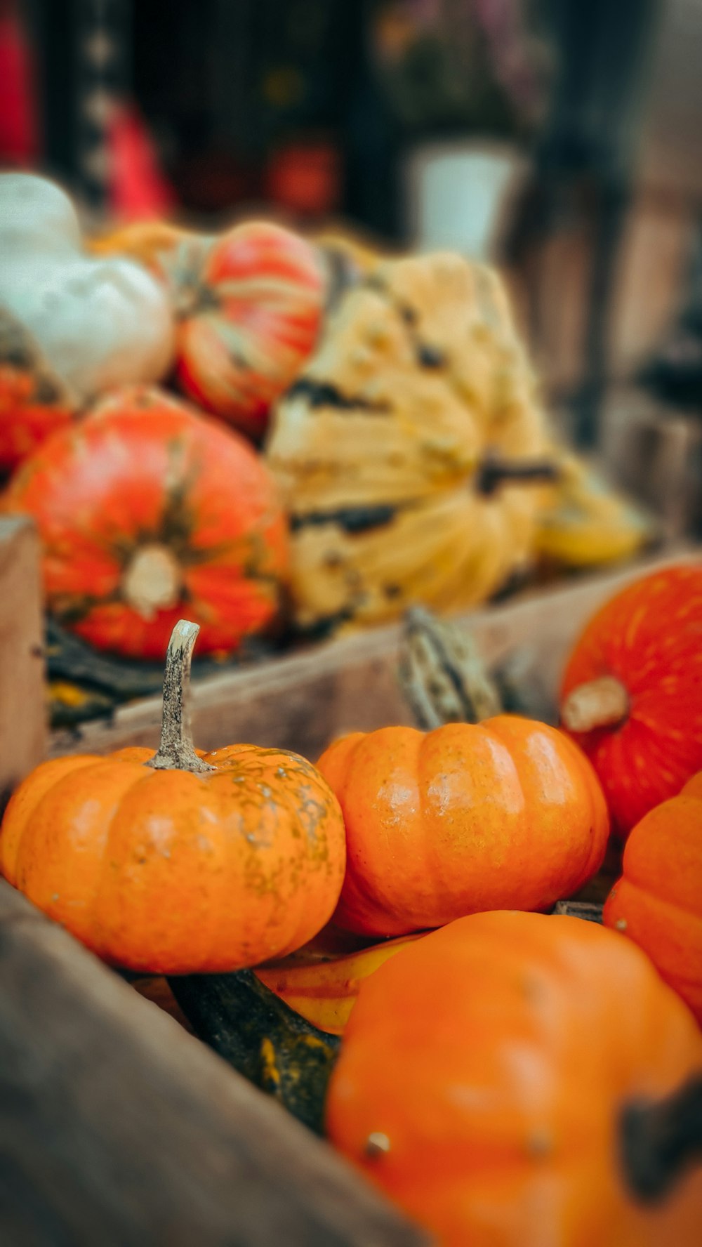 a bunch of different types of pumpkins for sale
