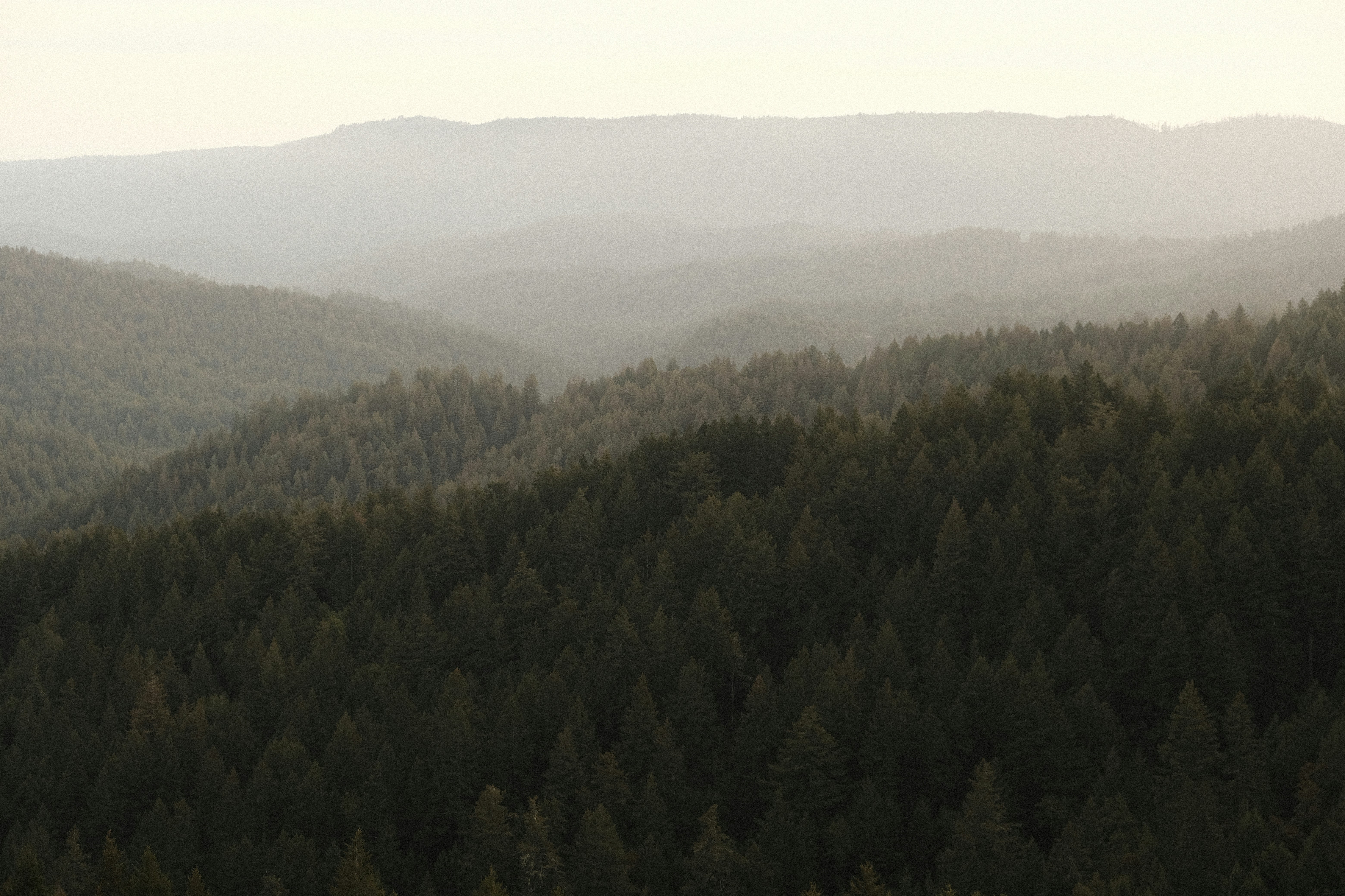 Photo by chandleraitchison