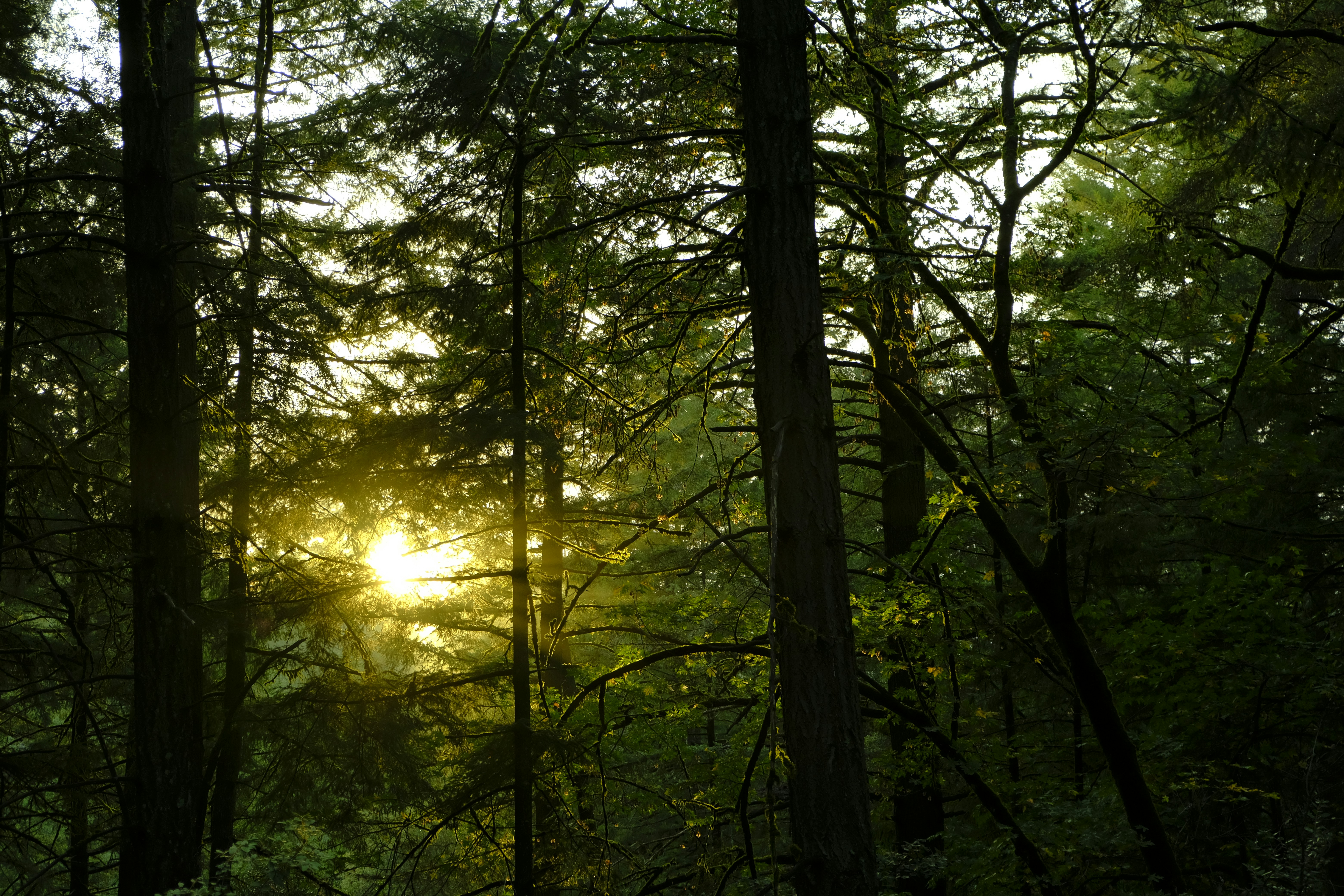 Photo by chandleraitchison