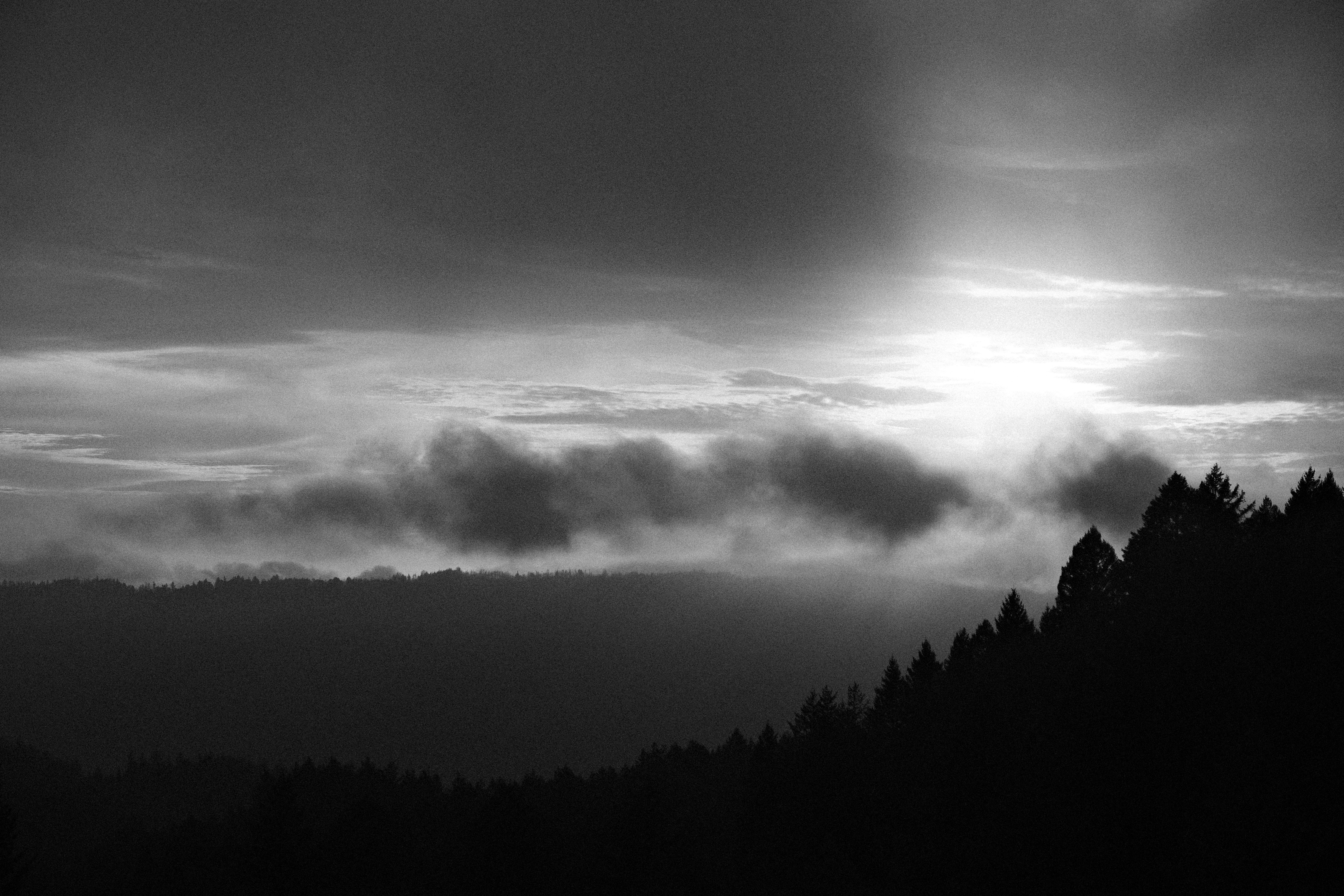 Photo by chandleraitchison