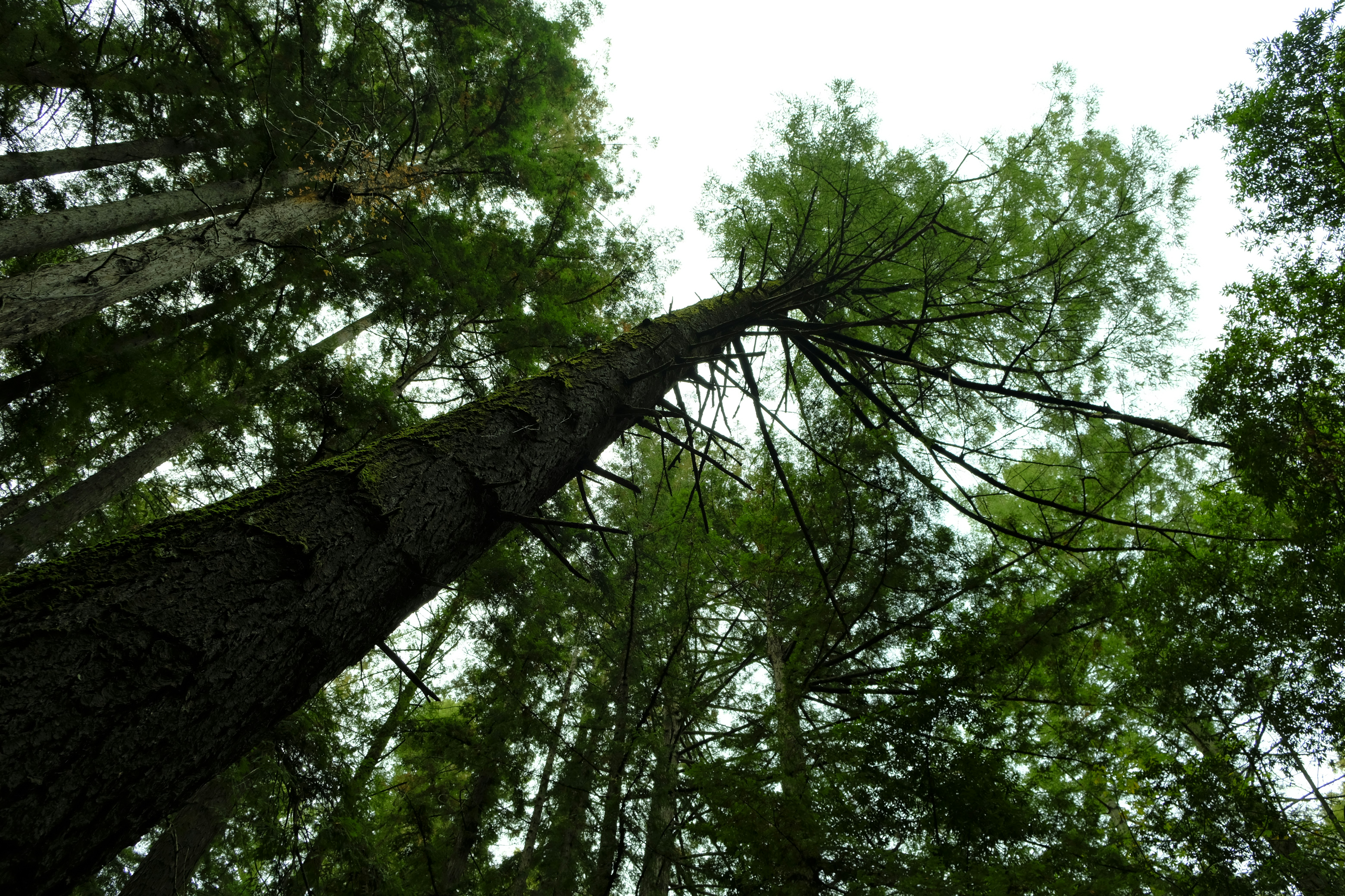 Photo by chandleraitchison