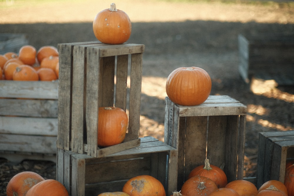 a pile of wooden crates filled with pumpkins