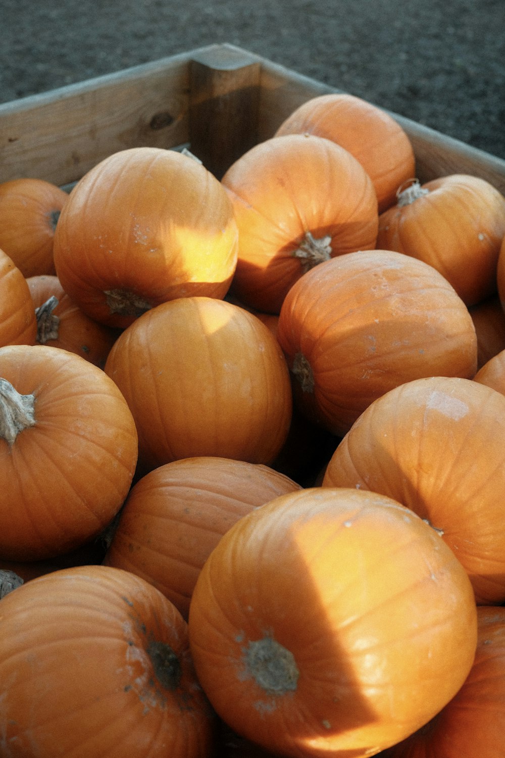 a crate filled with lots of orange pumpkins