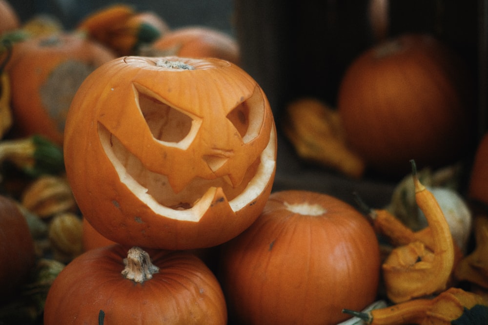 un groupe de citrouilles avec des visages sculptés