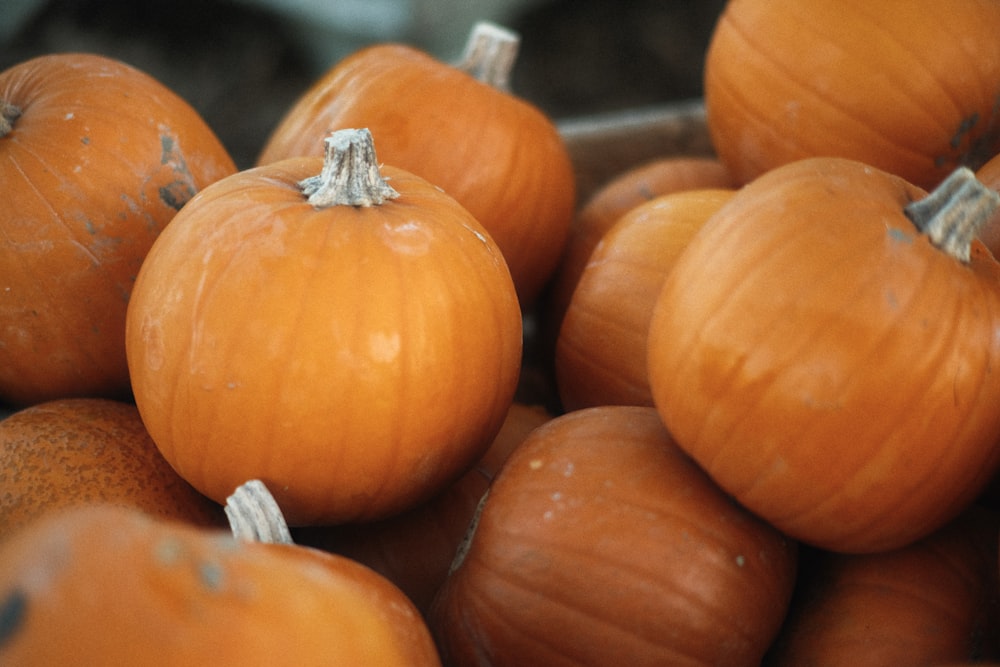 un tas de citrouilles assises les unes sur les autres