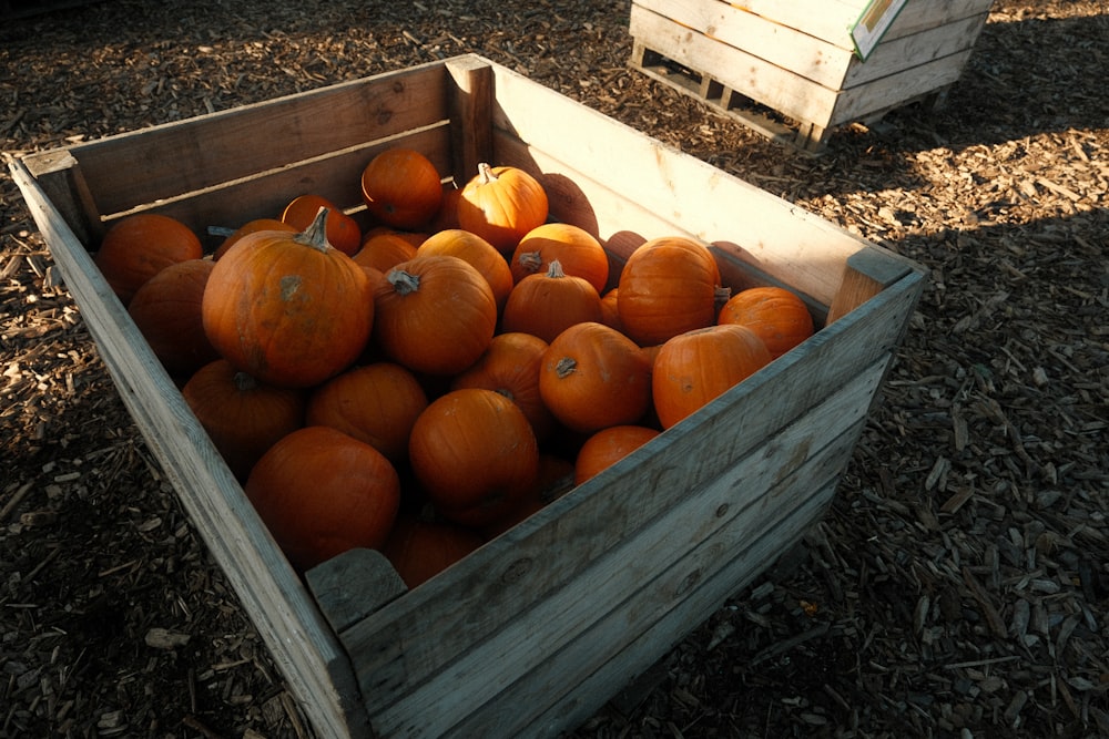 a wooden crate filled with lots of pumpkins