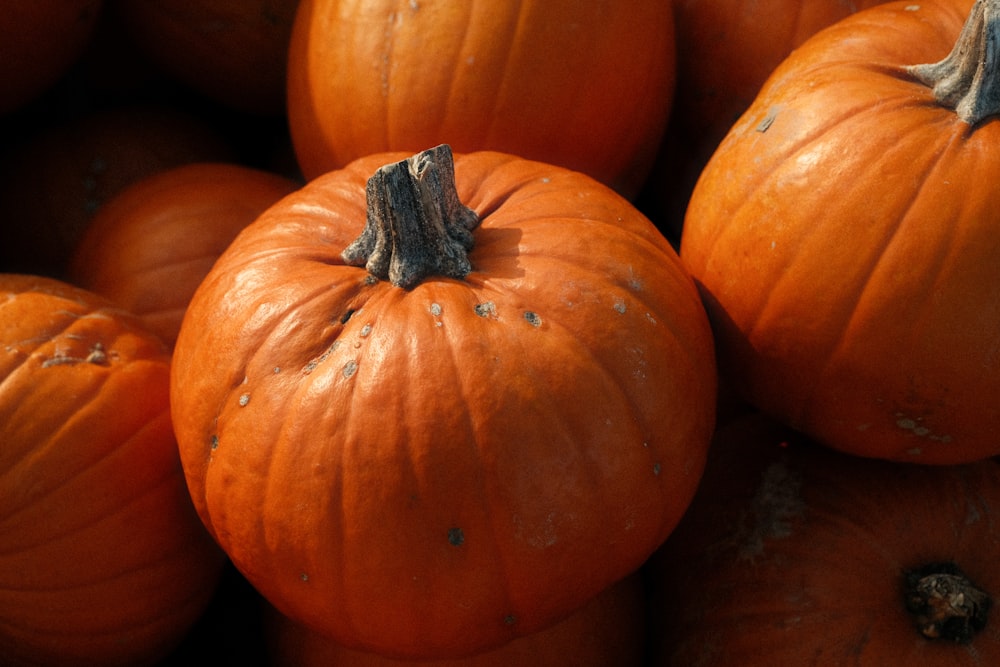 a pile of orange pumpkins sitting next to each other