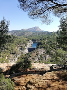 a scenic view of a lake surrounded by trees