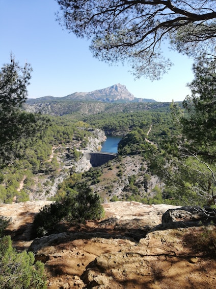 a scenic view of a lake surrounded by trees