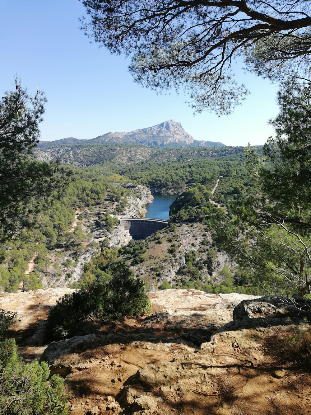 a scenic view of a lake surrounded by trees