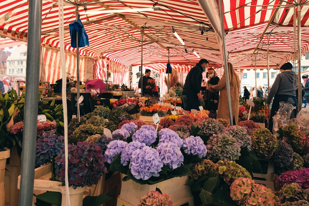 a bunch of flowers that are under some umbrellas