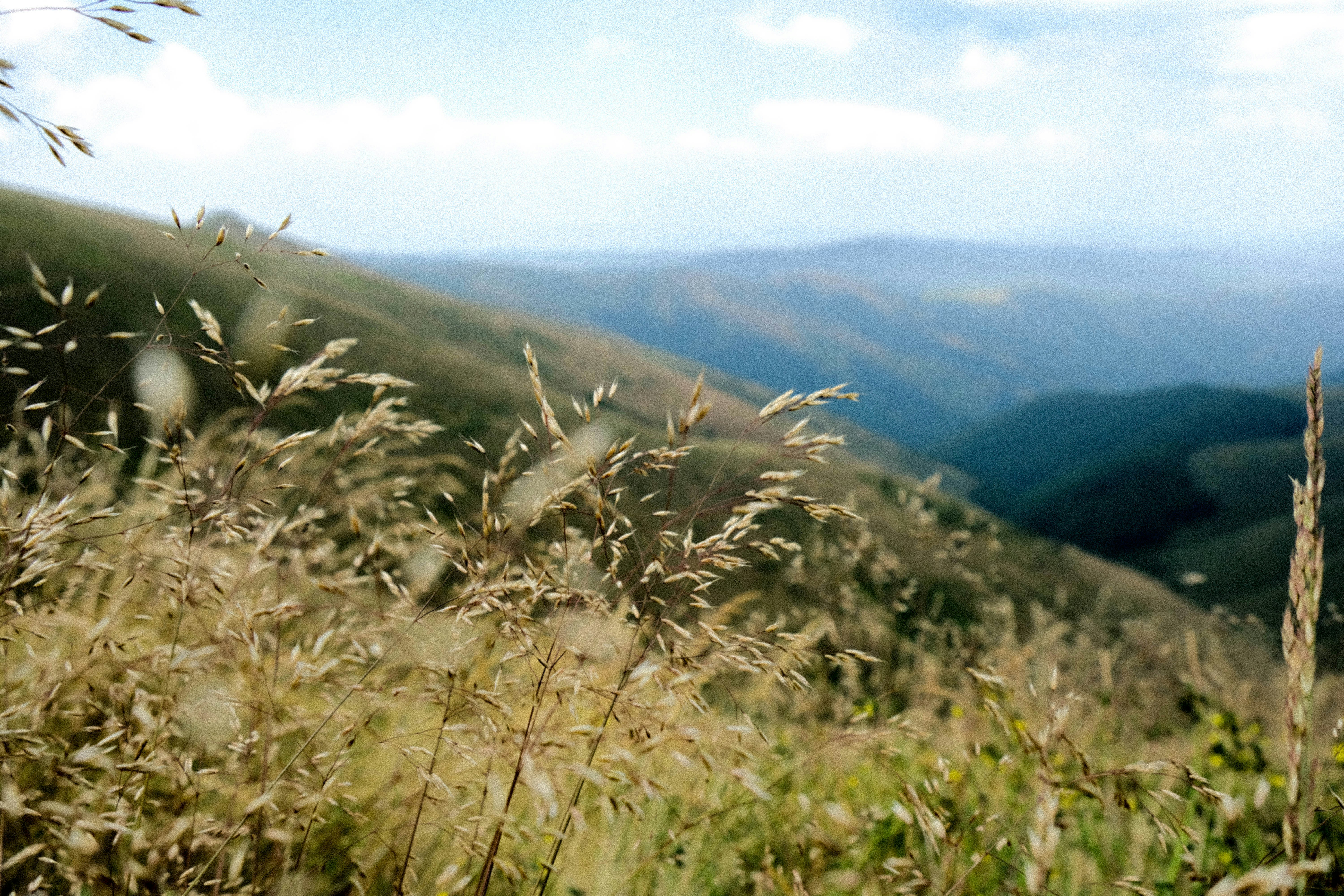 Photo by alexanderdaniel