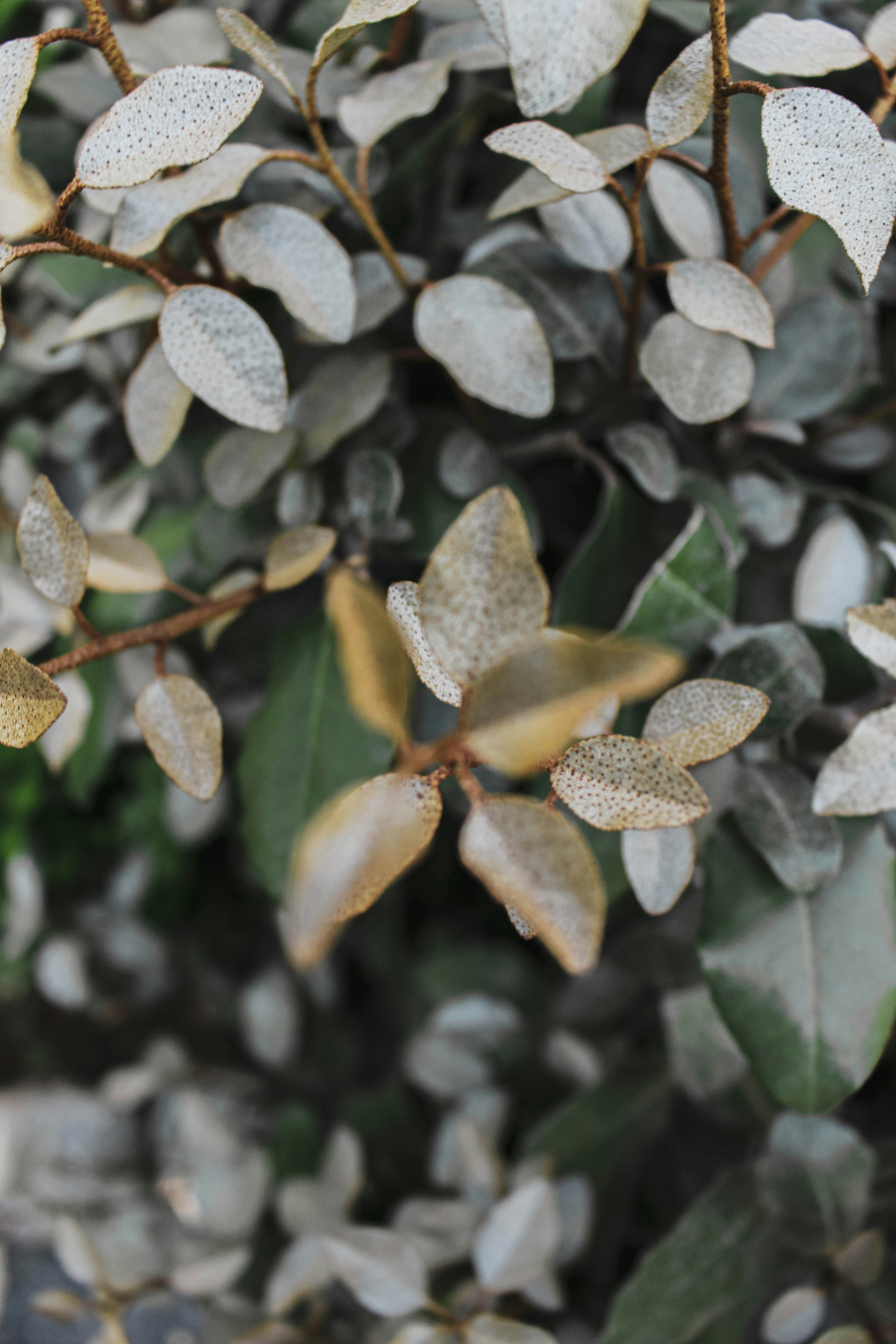 Photo by anna_c_wilhelm