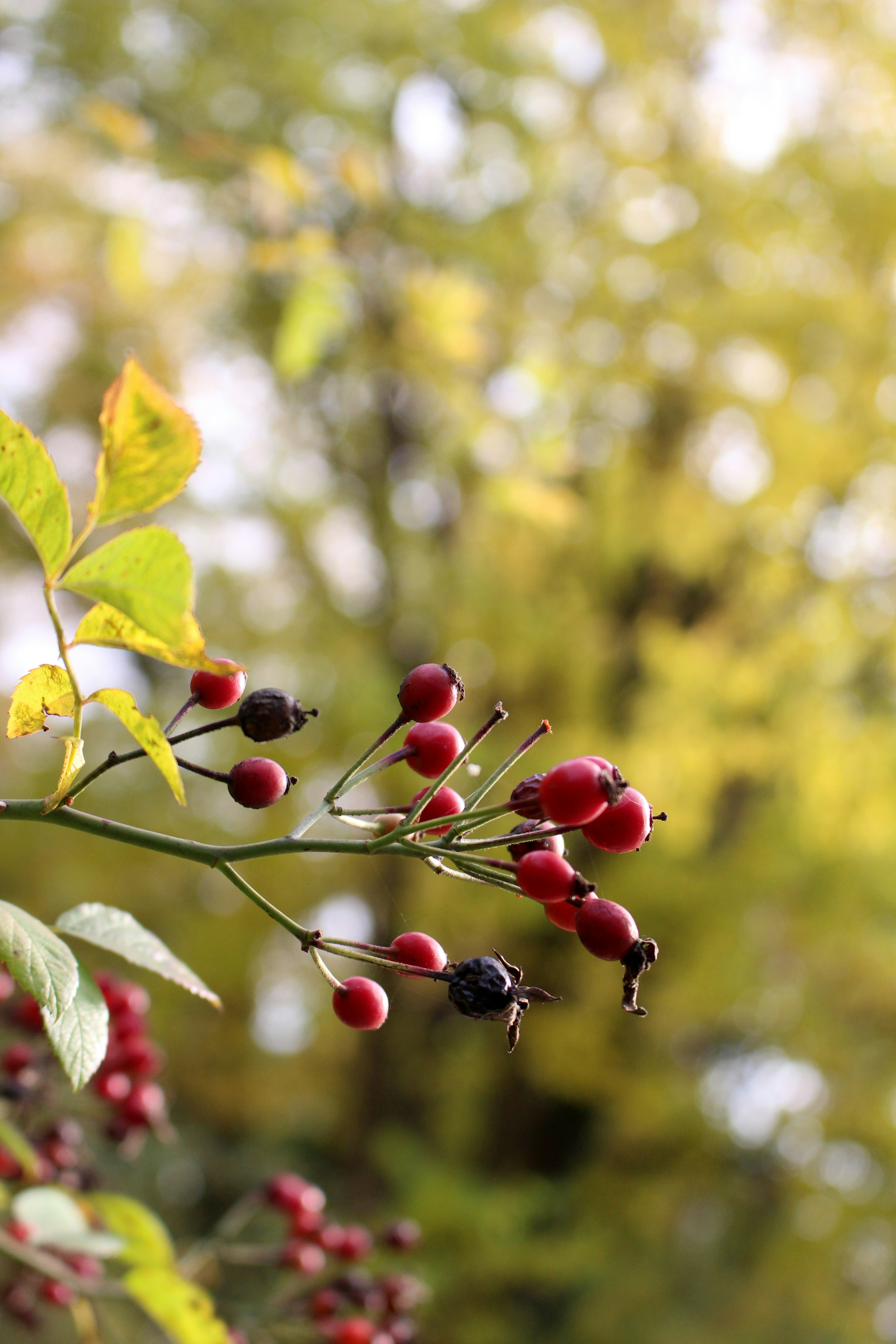 Photo by anna_c_wilhelm