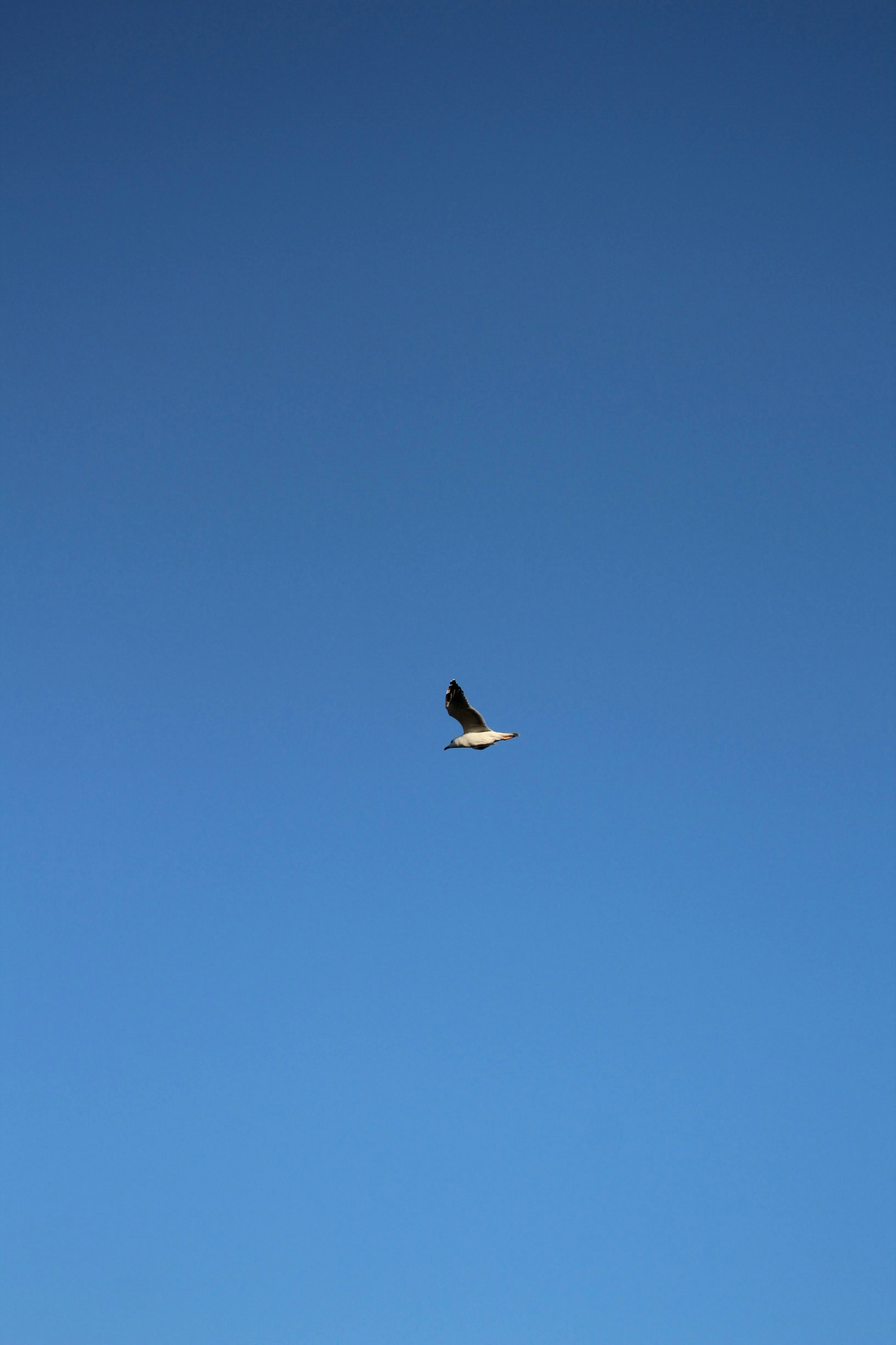 Photo by imtinapastore