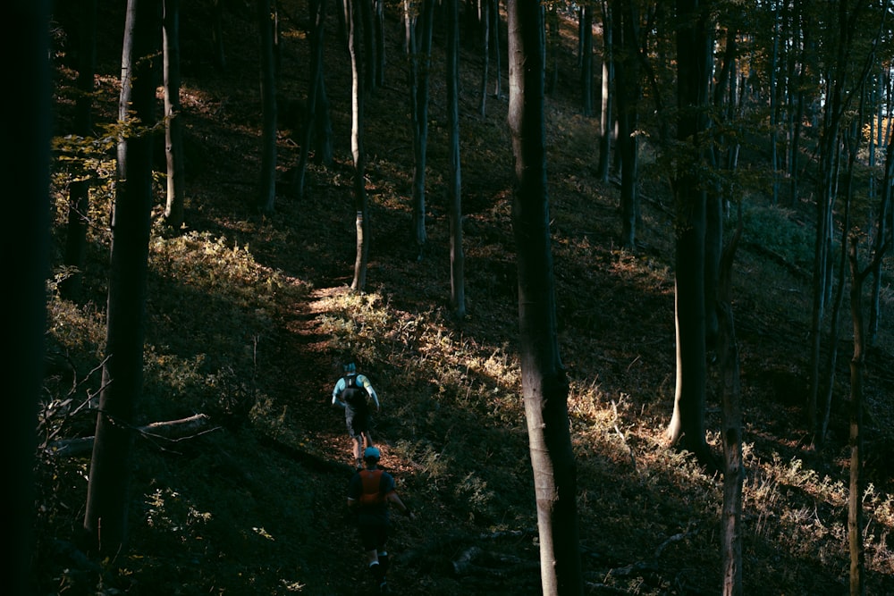a person walking through a forest with lots of trees