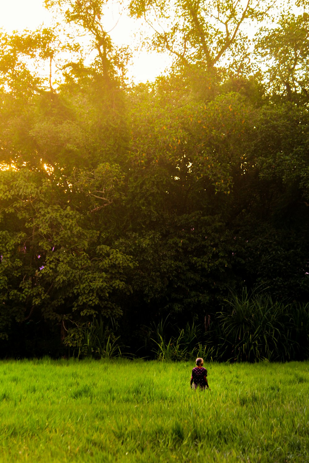 a person in a field with a frisbee