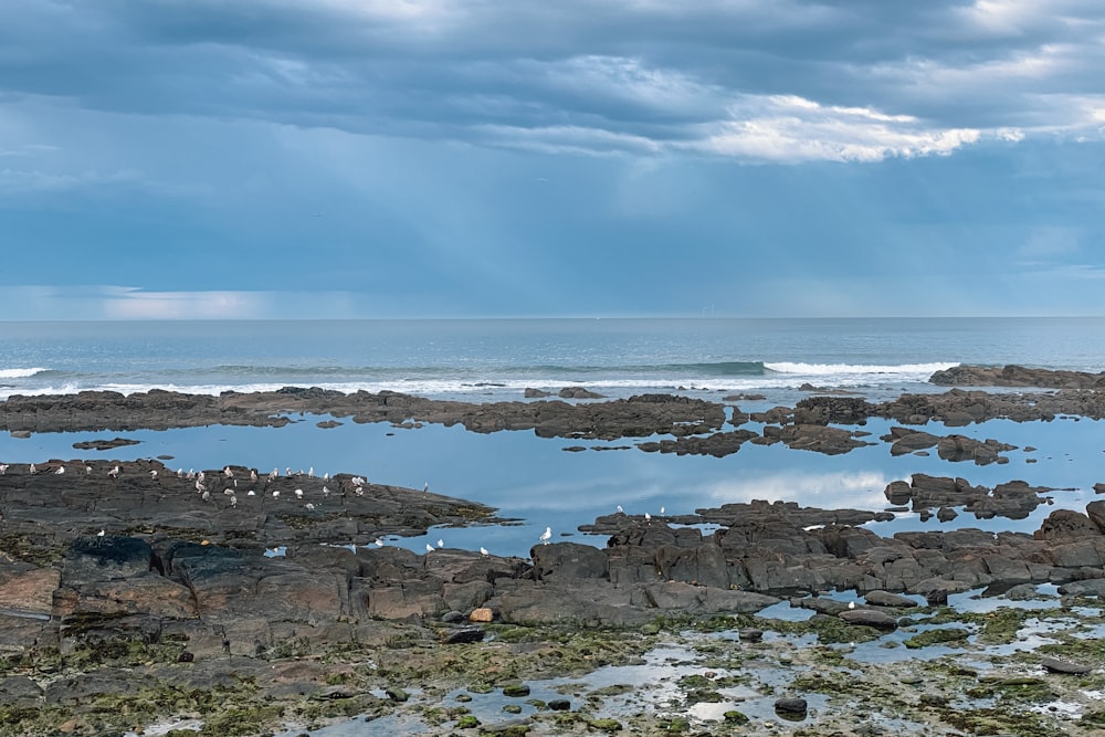 a large body of water surrounded by rocks