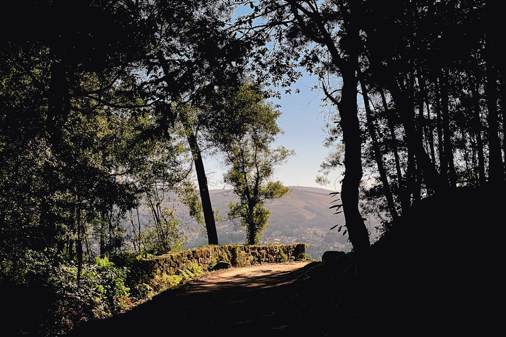 a dirt road surrounded by trees and a stone wall