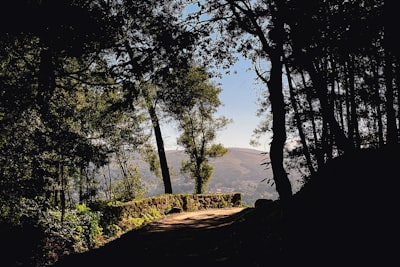 Caldas de Reis